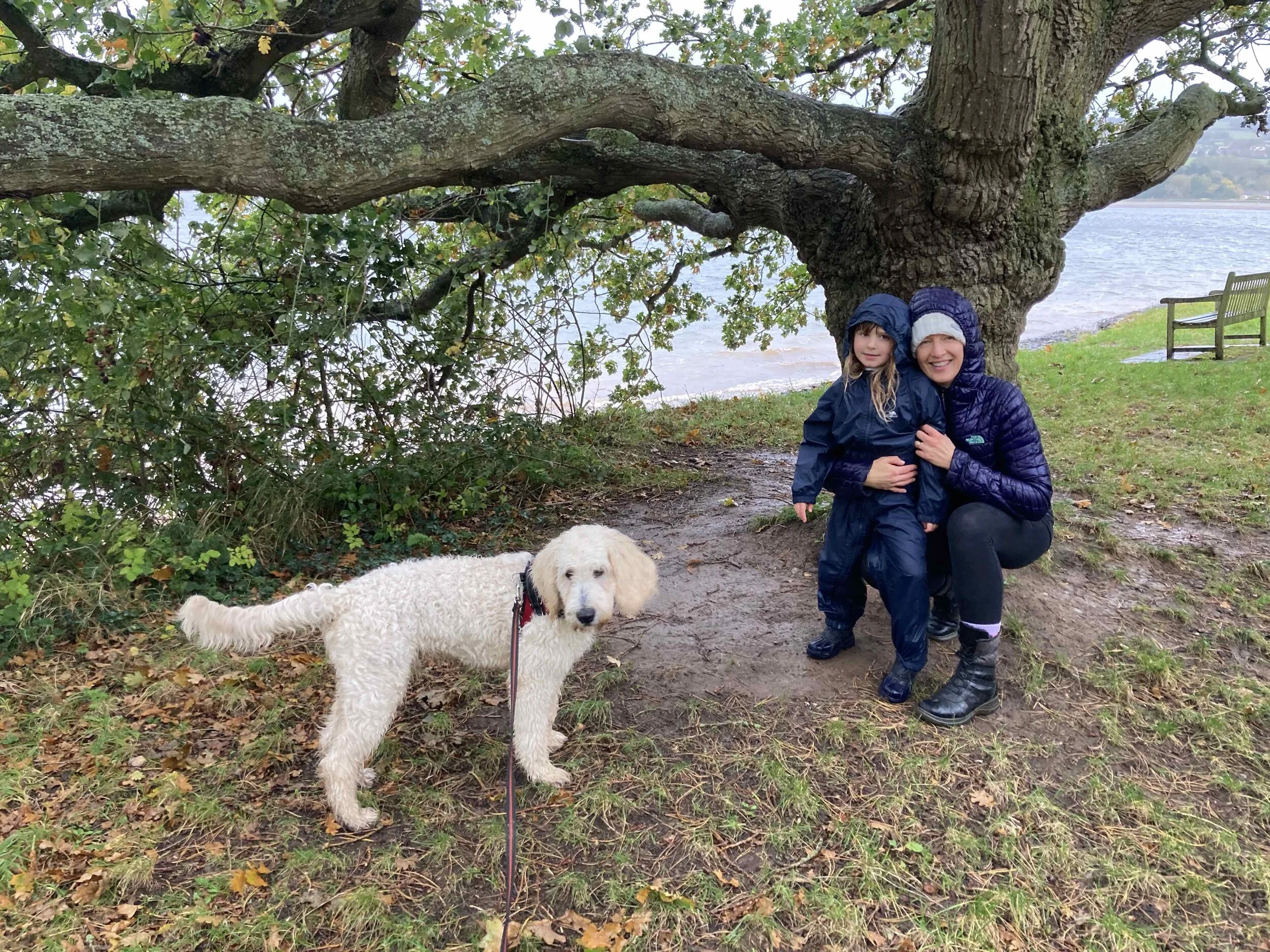 What are the best forms of exercise in Bristol during lockdown?