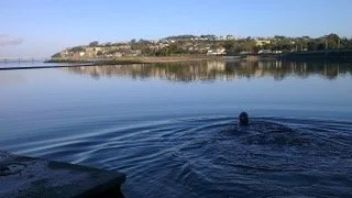 How to prevent back pain in Bristol this Winter