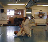 j5.jpg