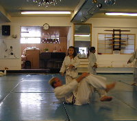 j6.jpg