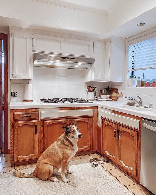 Made some progress in the kitchen today, doing all the uppers above the stovetop. I ordered hardware last week, but it hasn&rsquo;t come yet, but excited to get that added (hopefully) soon, and do a few minor touch ups. I&rsquo;ve also decided on a c