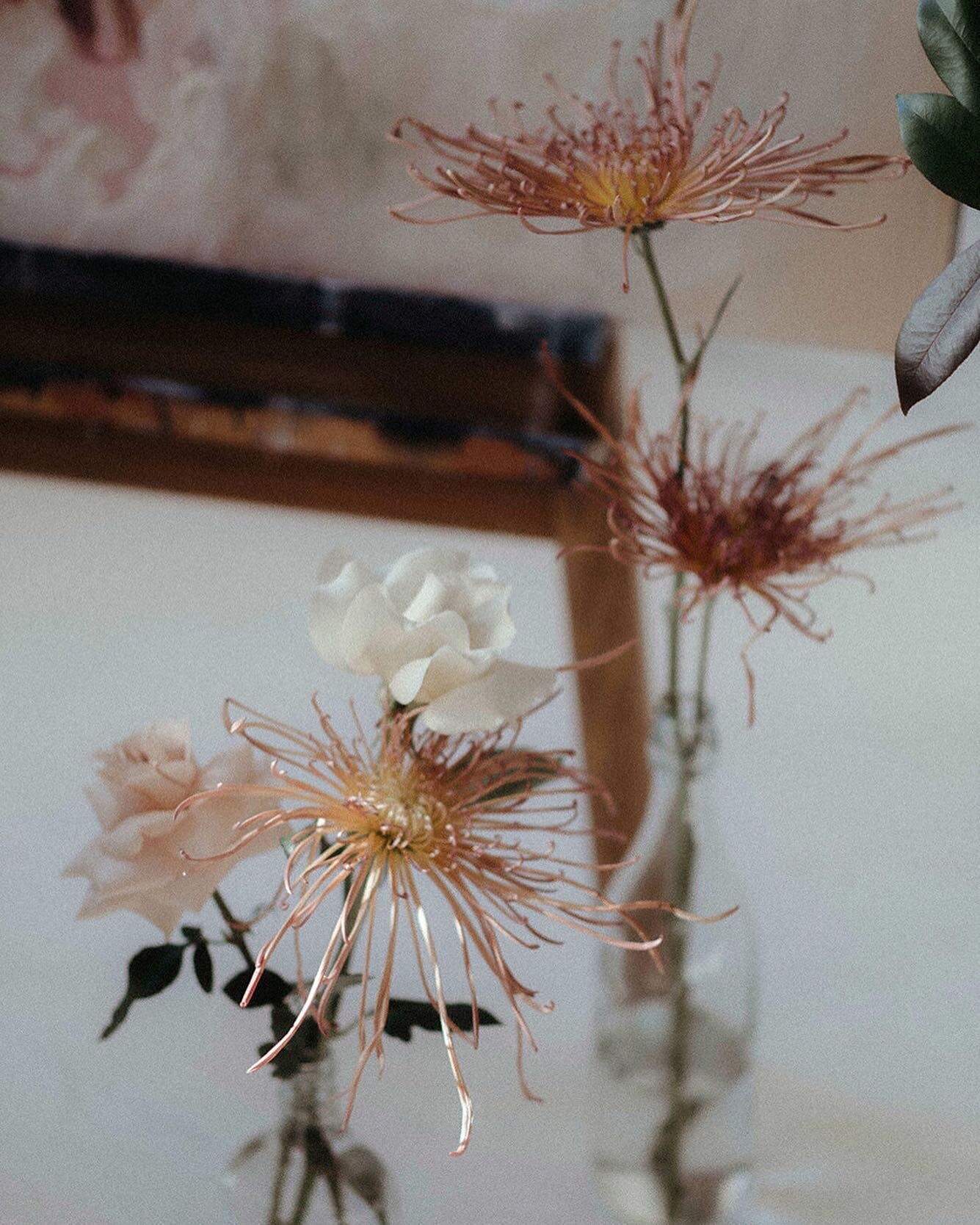 ~ Waiting for those sunny spring days! I keep waking up to little song birds outside my window. So sweet. Who else can&rsquo;t wait? 🍄🌿
/
\
Photographer @hennygraphy
Florals @de.la.flore
Art work @sarahmulderart
/
#delaflore #delafloredesigns #spri