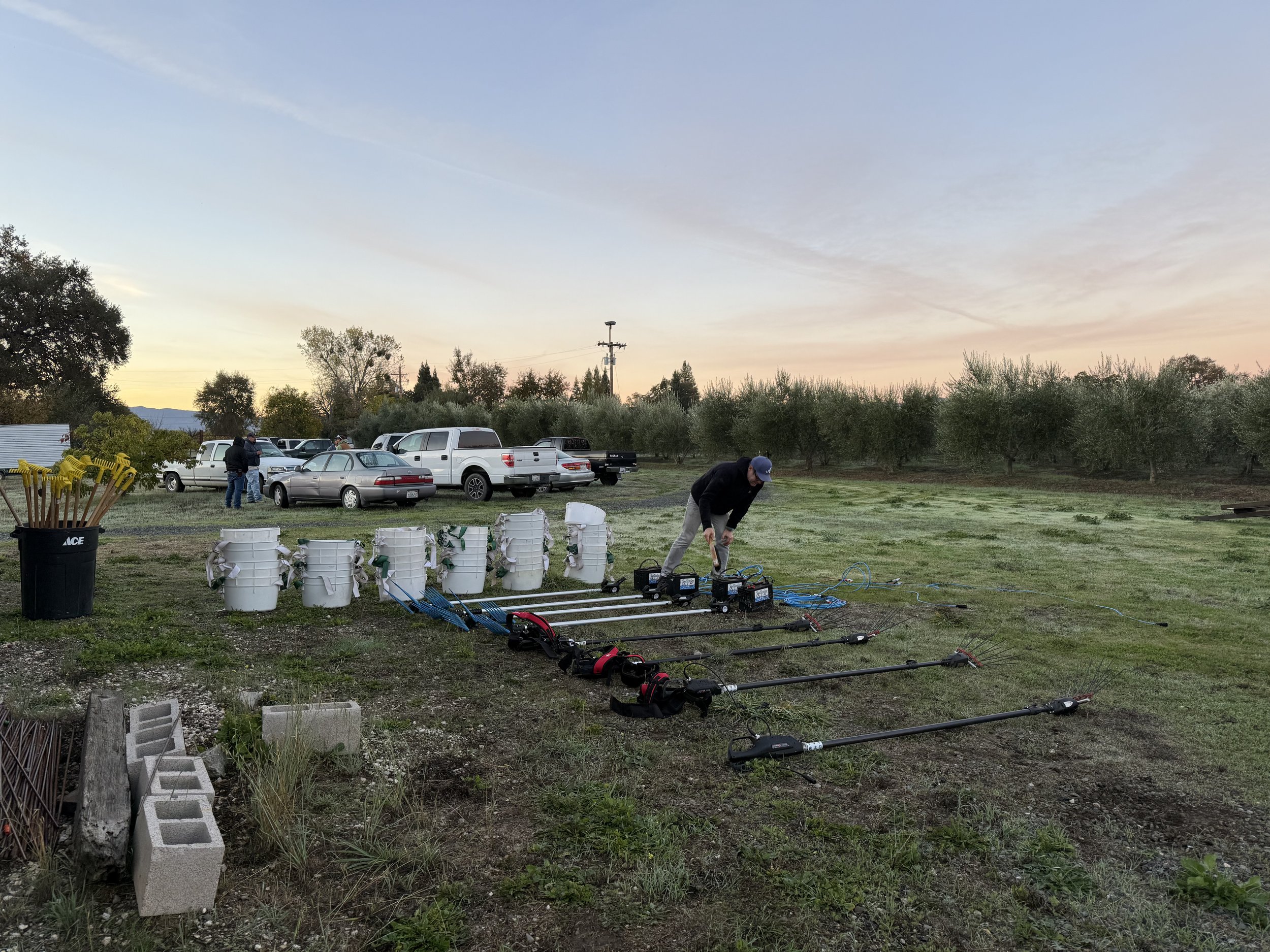 Harvest Morning day one25.jpeg