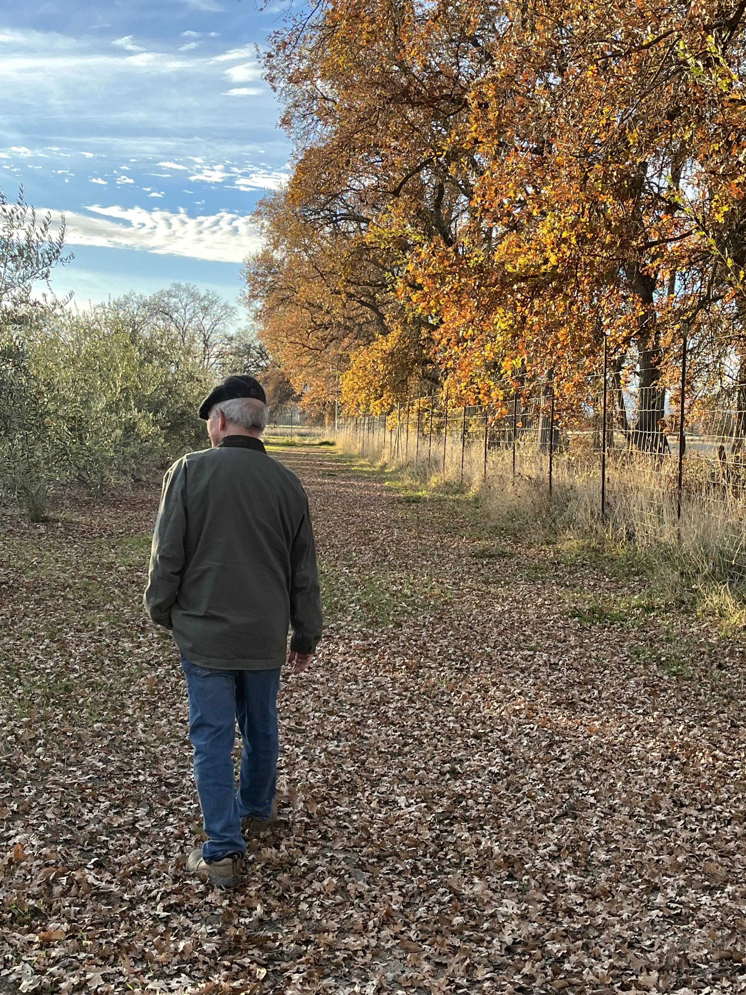 Rich by Nor OaksIMG_6980.jpeg