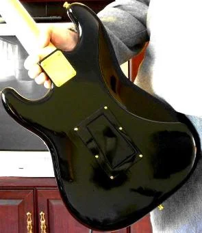 back-295x341.jpg