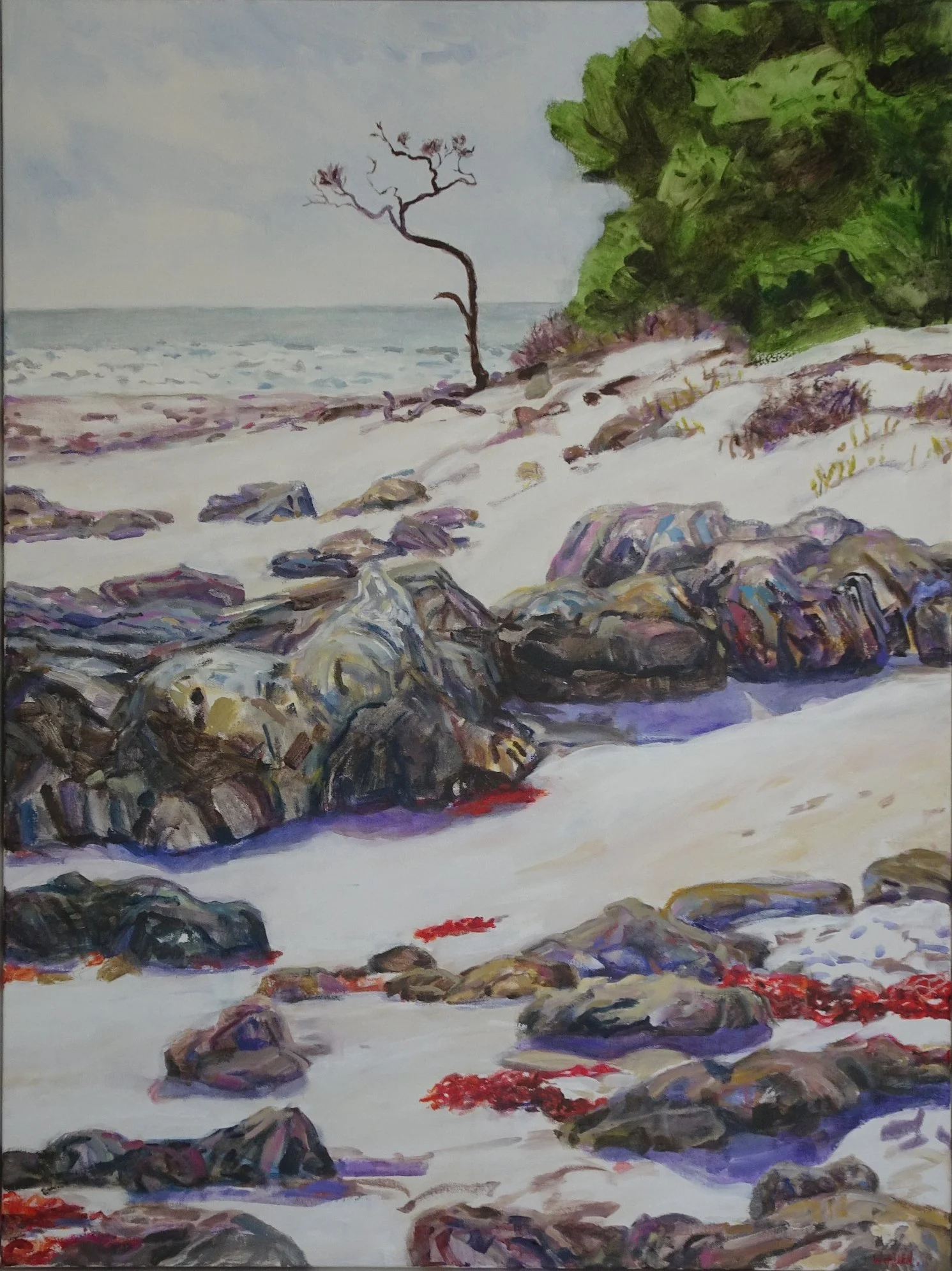 Starvation bay Seacape.jpg
