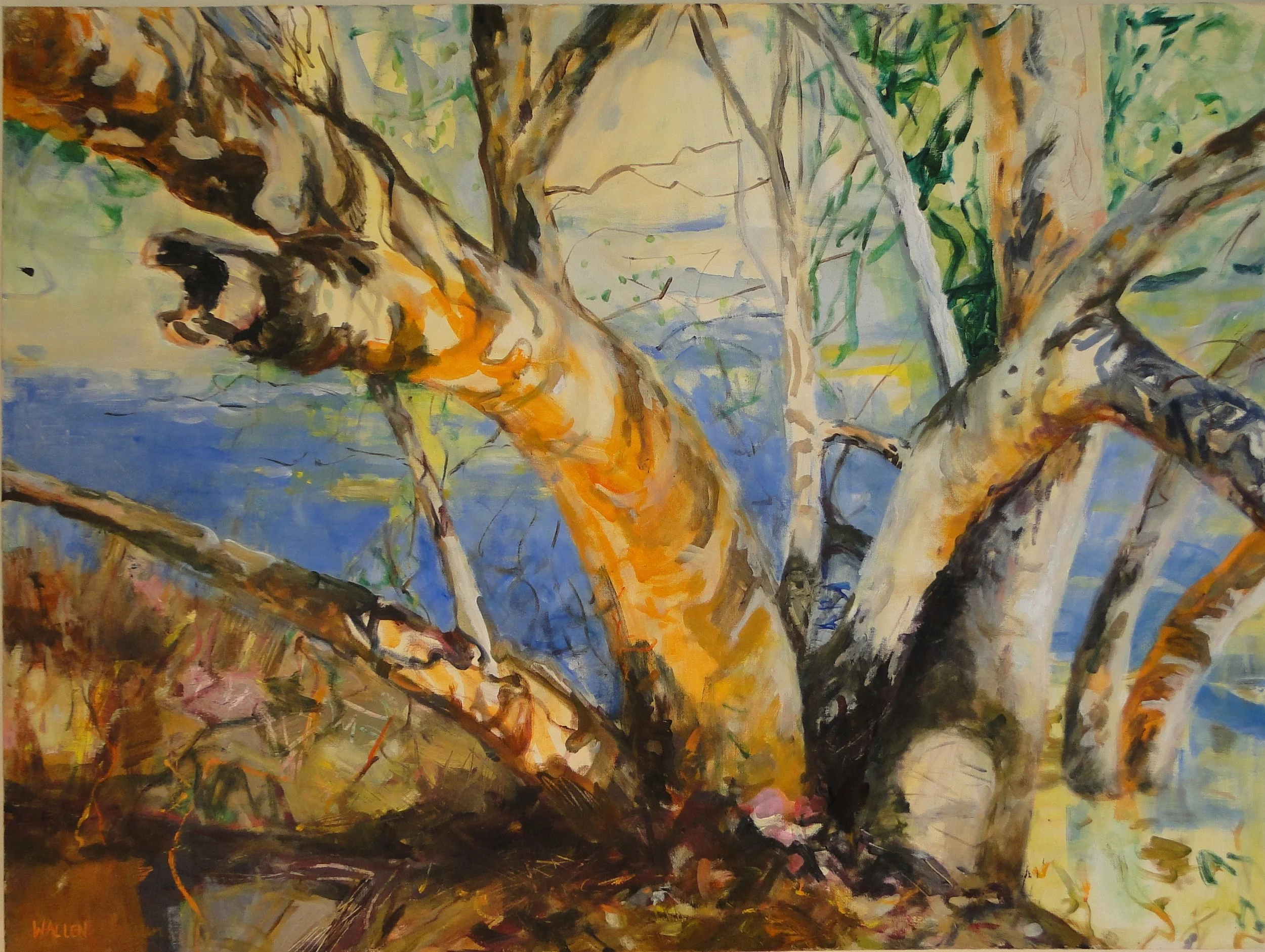 Banks of the Cooper River.JPG