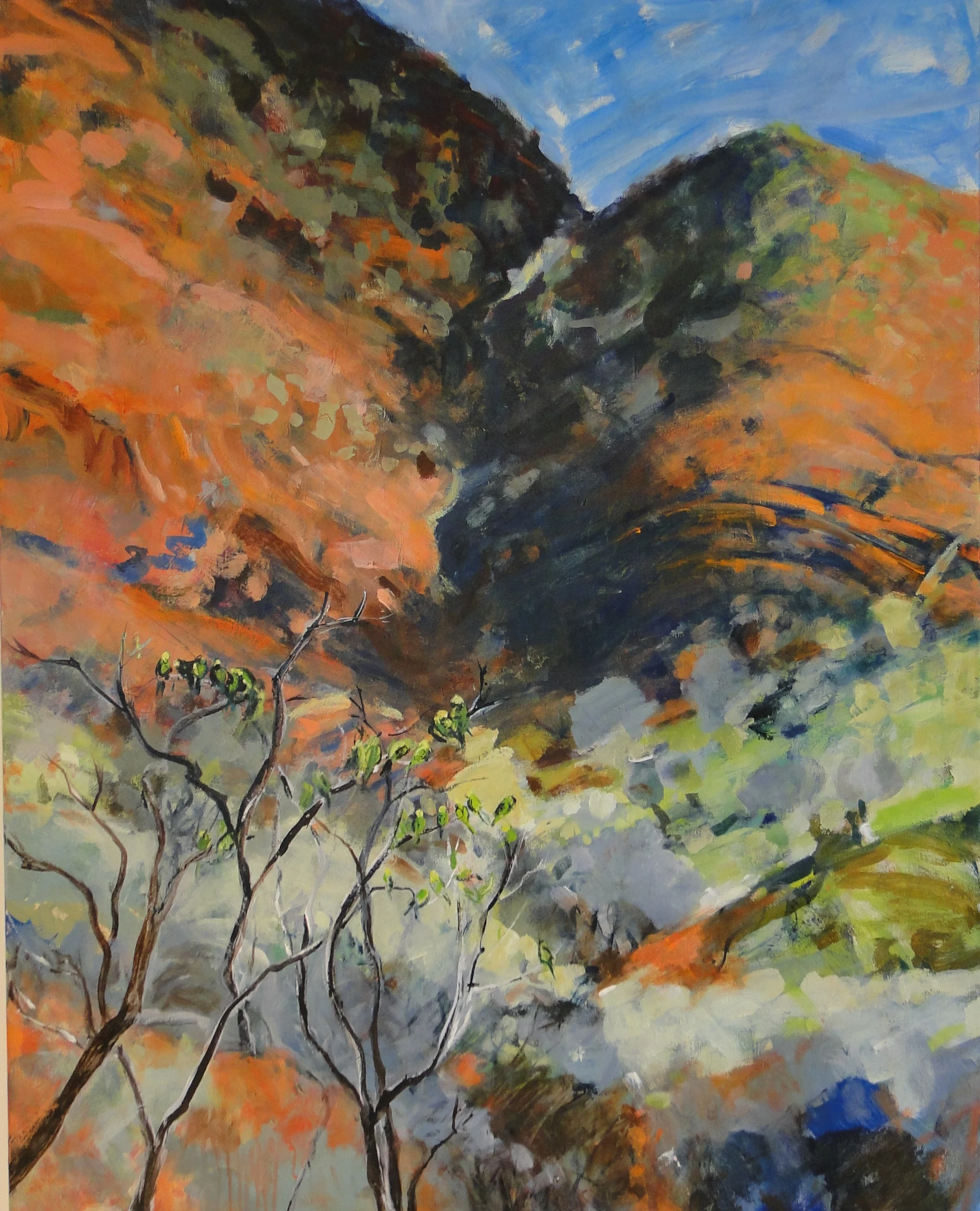 Wild Budgies Arkaroola.JPG