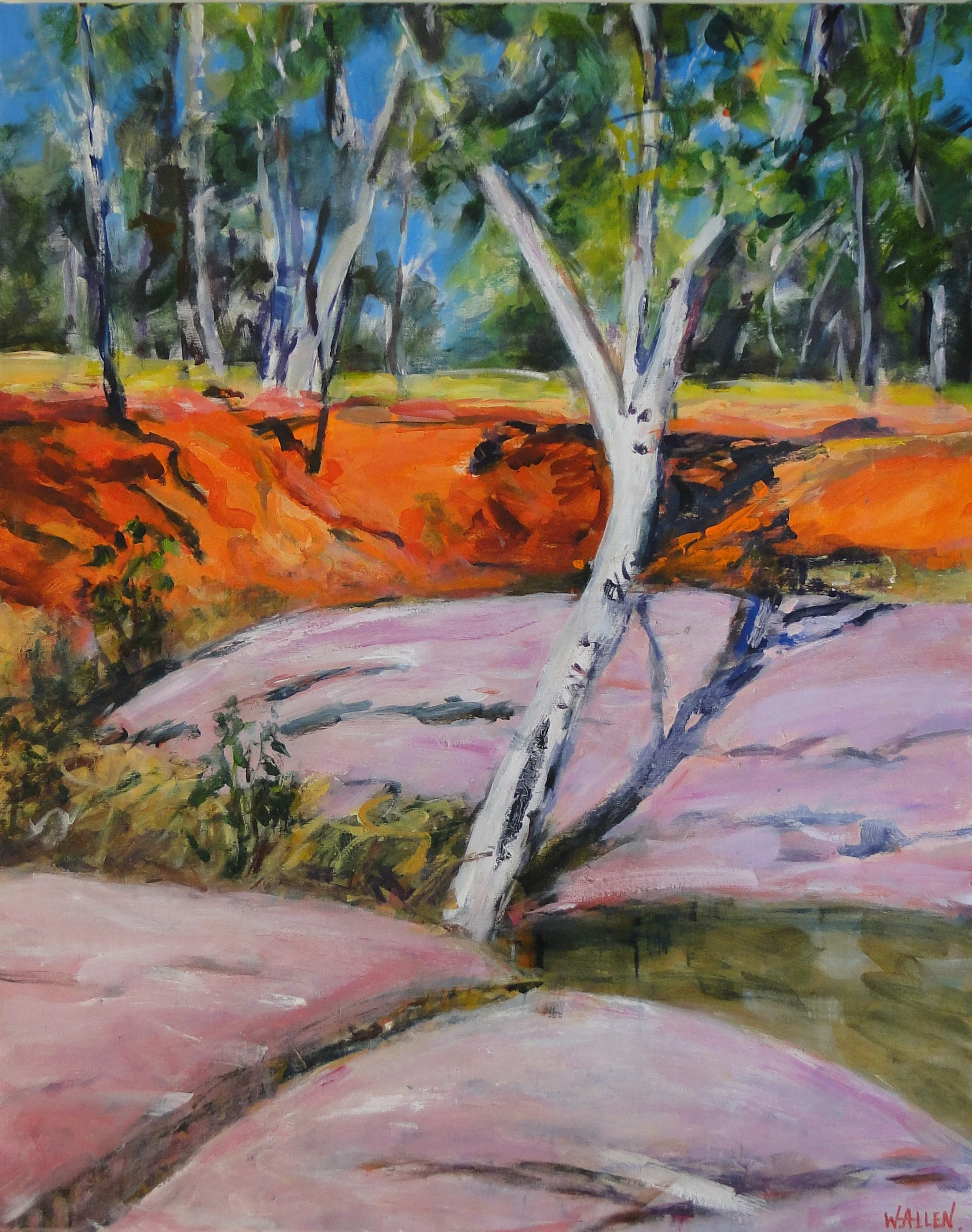 Mt. Moffat Queensland.JPG