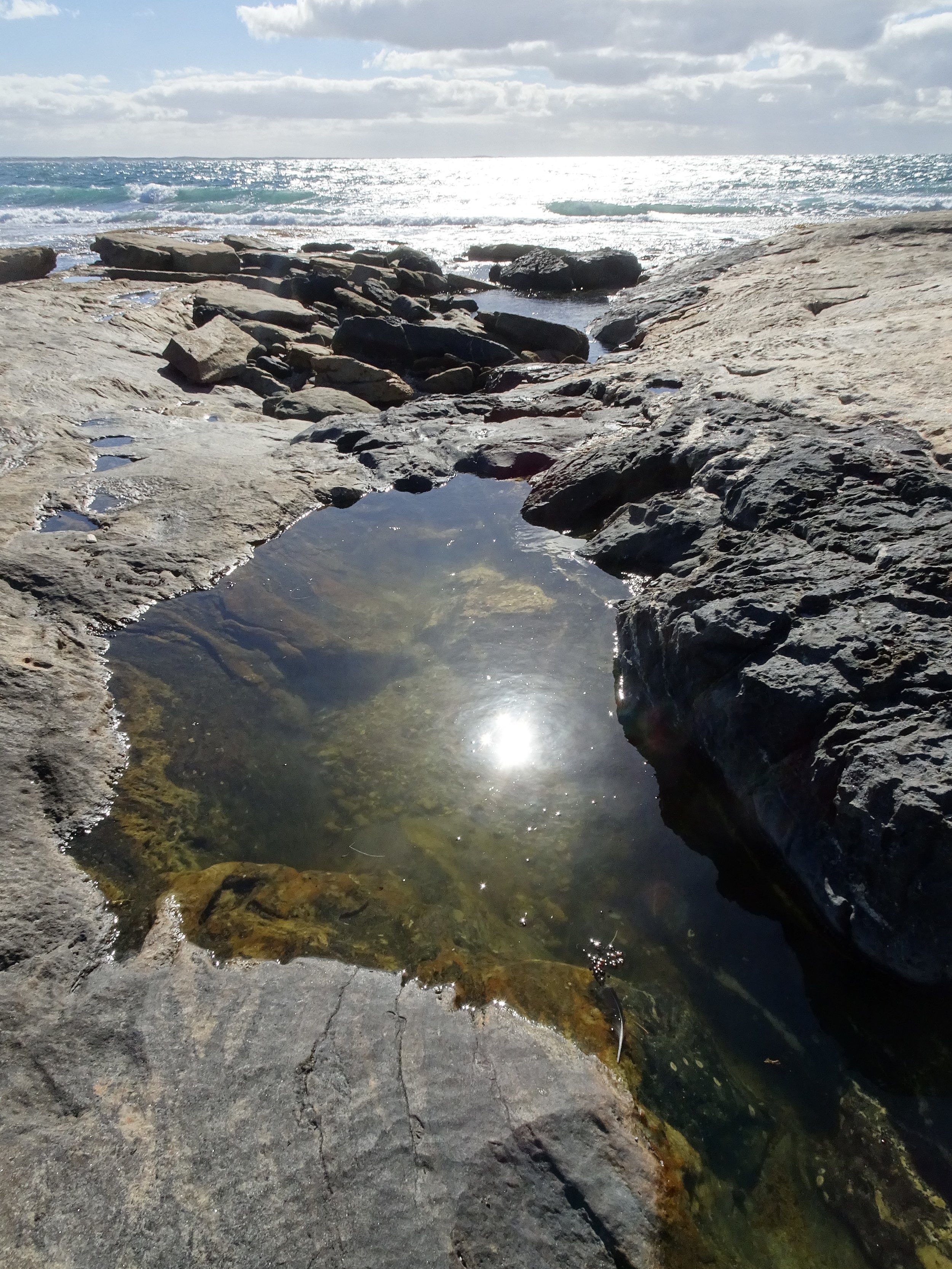 Starvation Harbour Bay 02.JPG