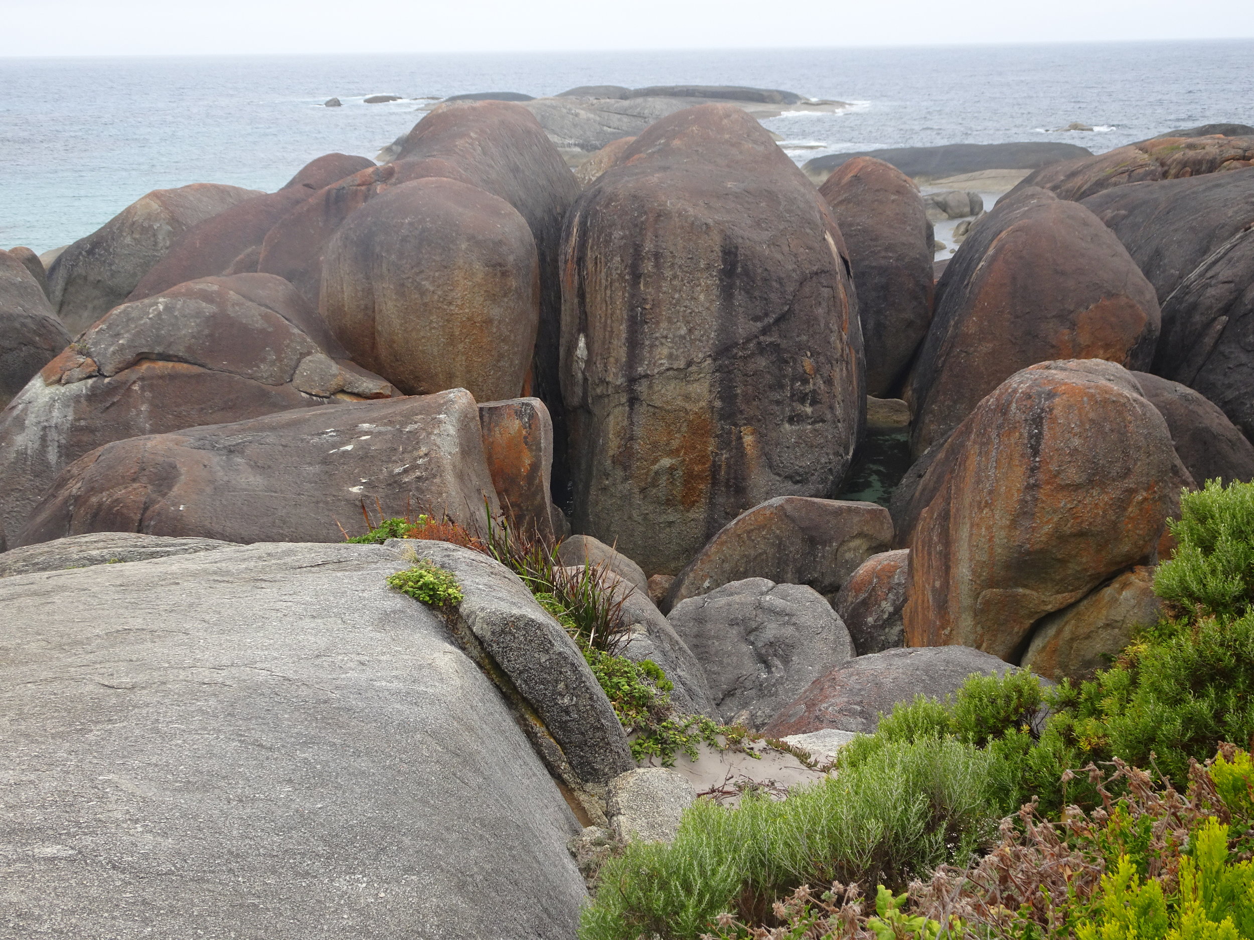 Elephant Rocks 1.JPG