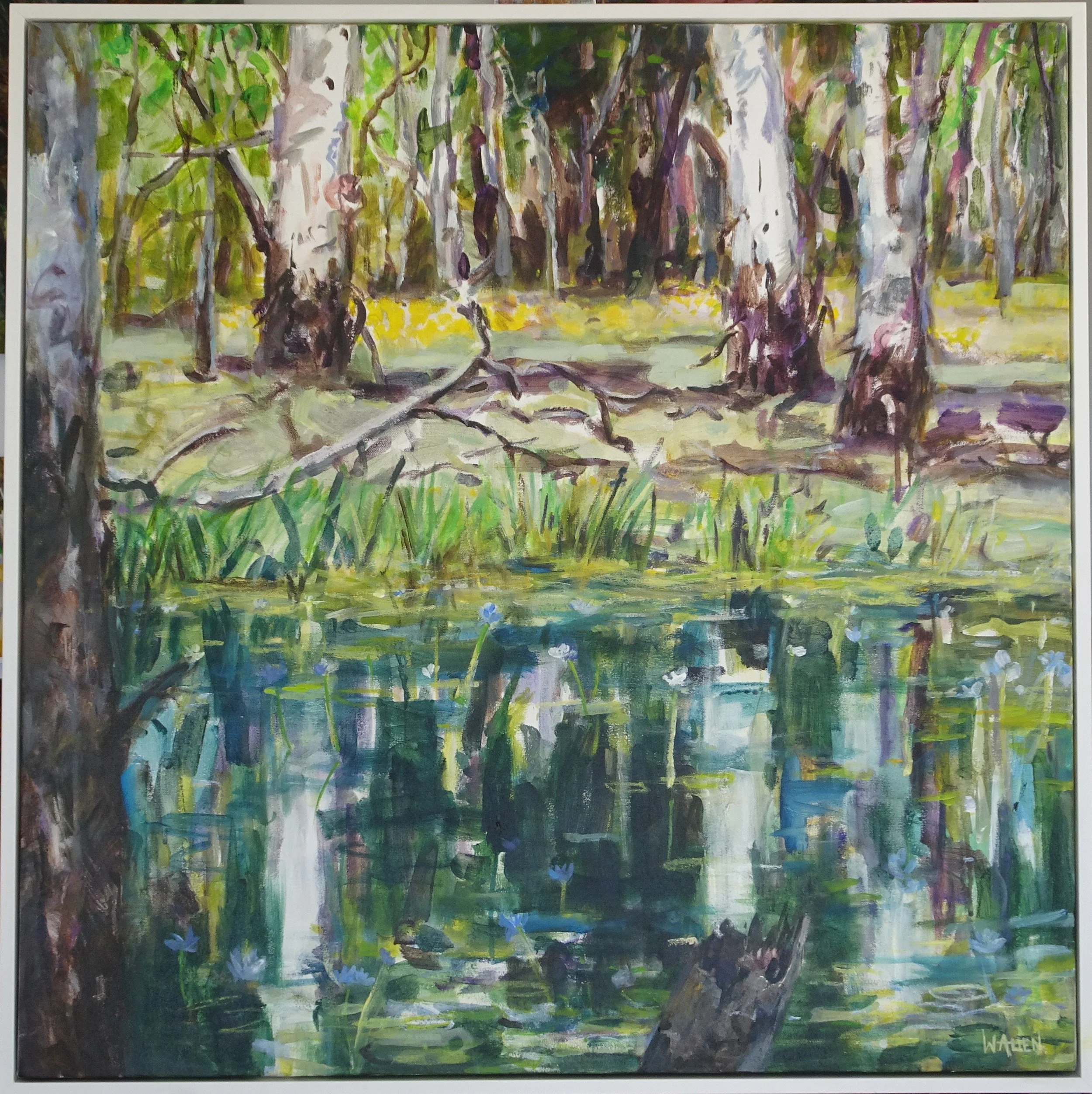 Kakadu Lillies 2.JPG
