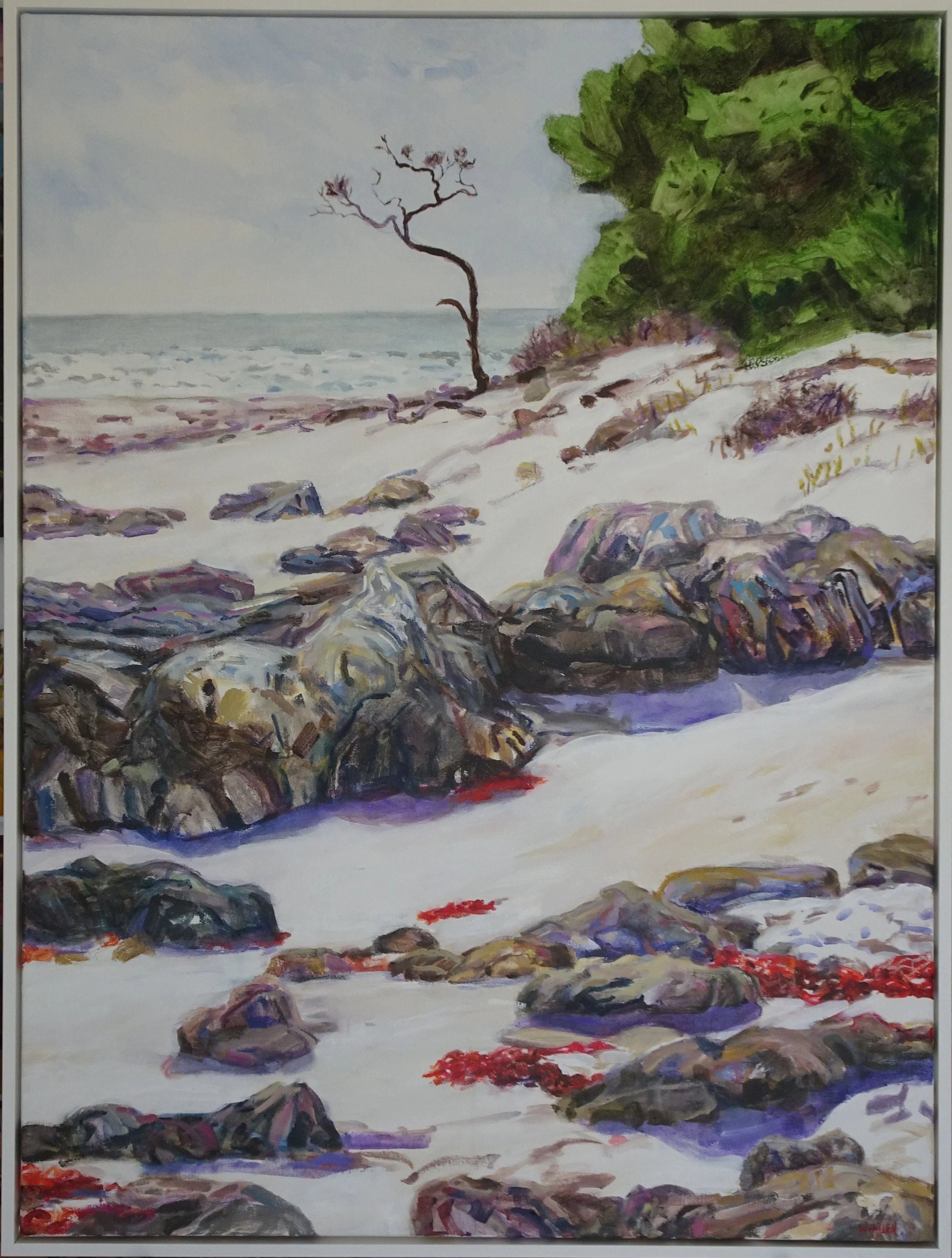 Starvation bay Seacape.JPG