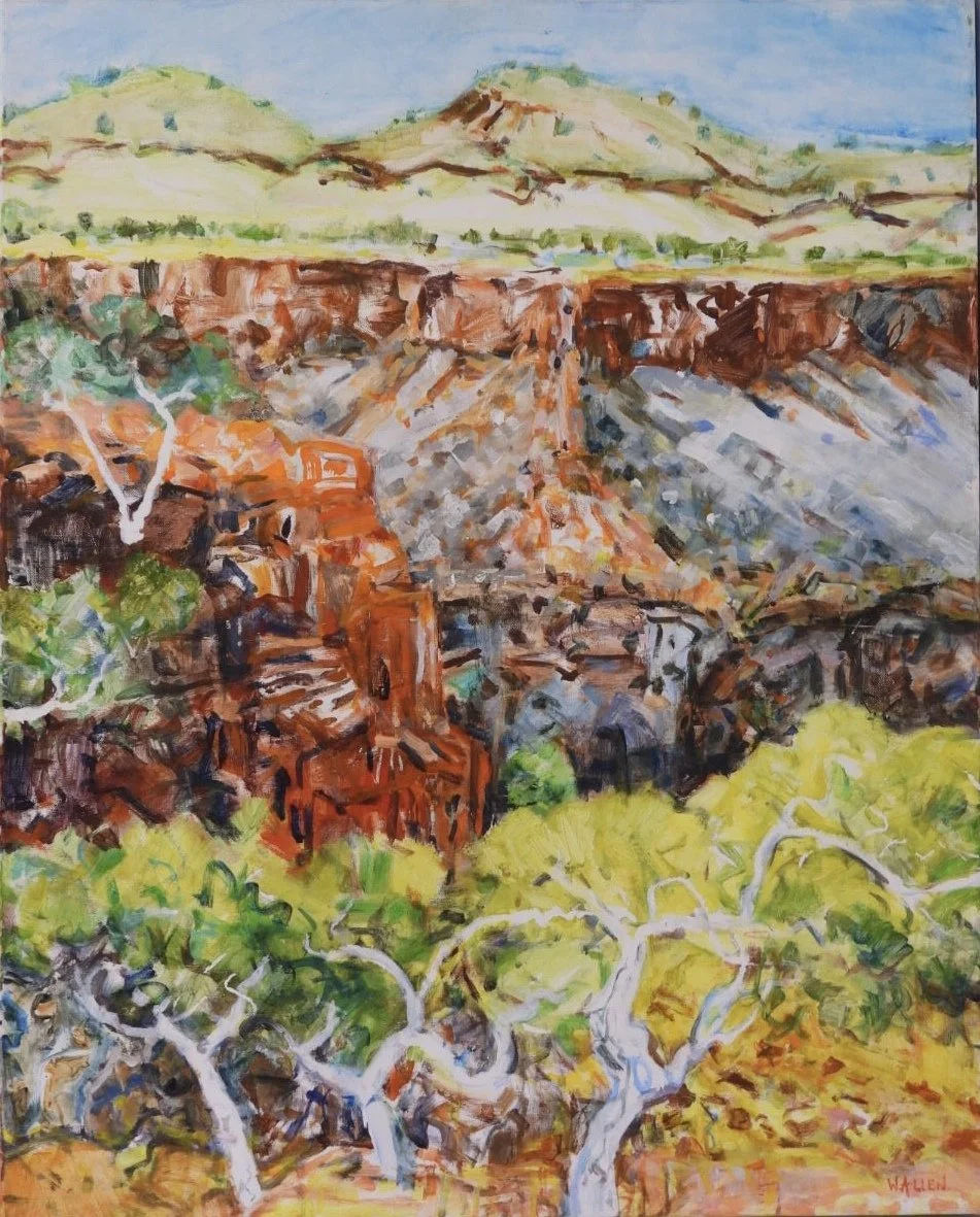Karijini Looking from above the Gorge.jpg
