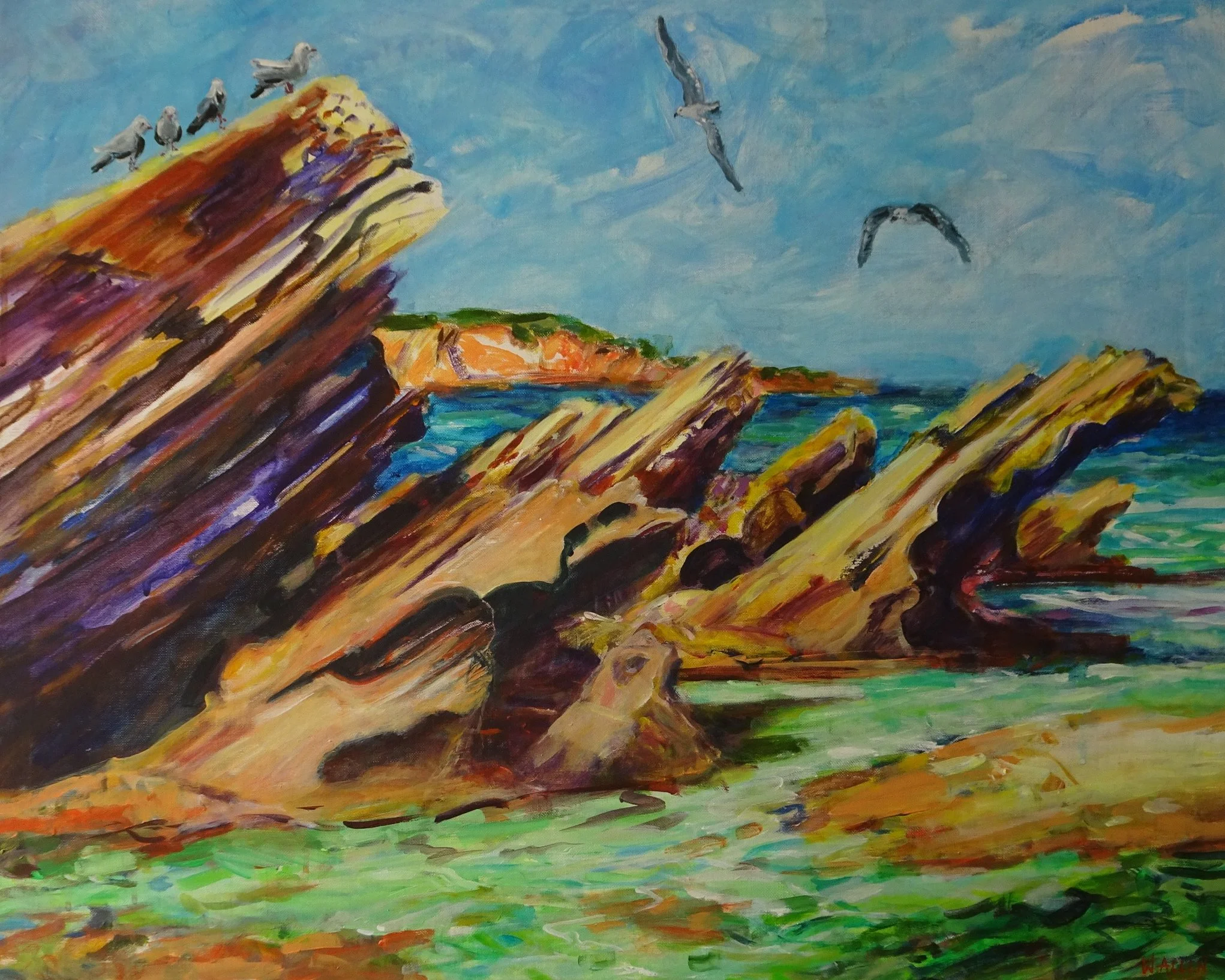 Coffin Bay SA.jpg