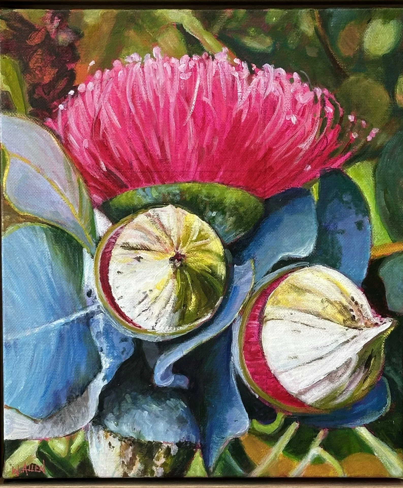 Pink Flowering Gum.jpg