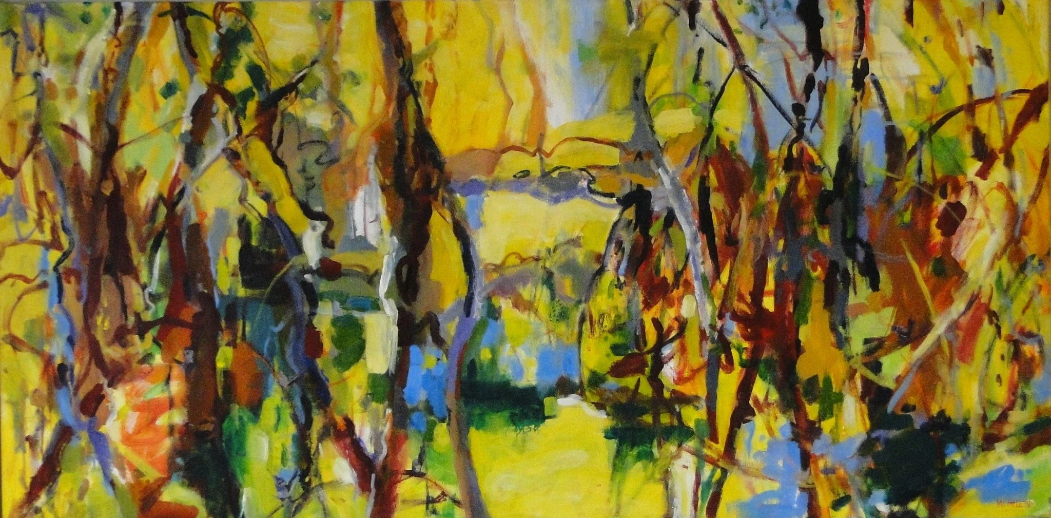 Wonga Wetlands-Abundance of Life.jpg