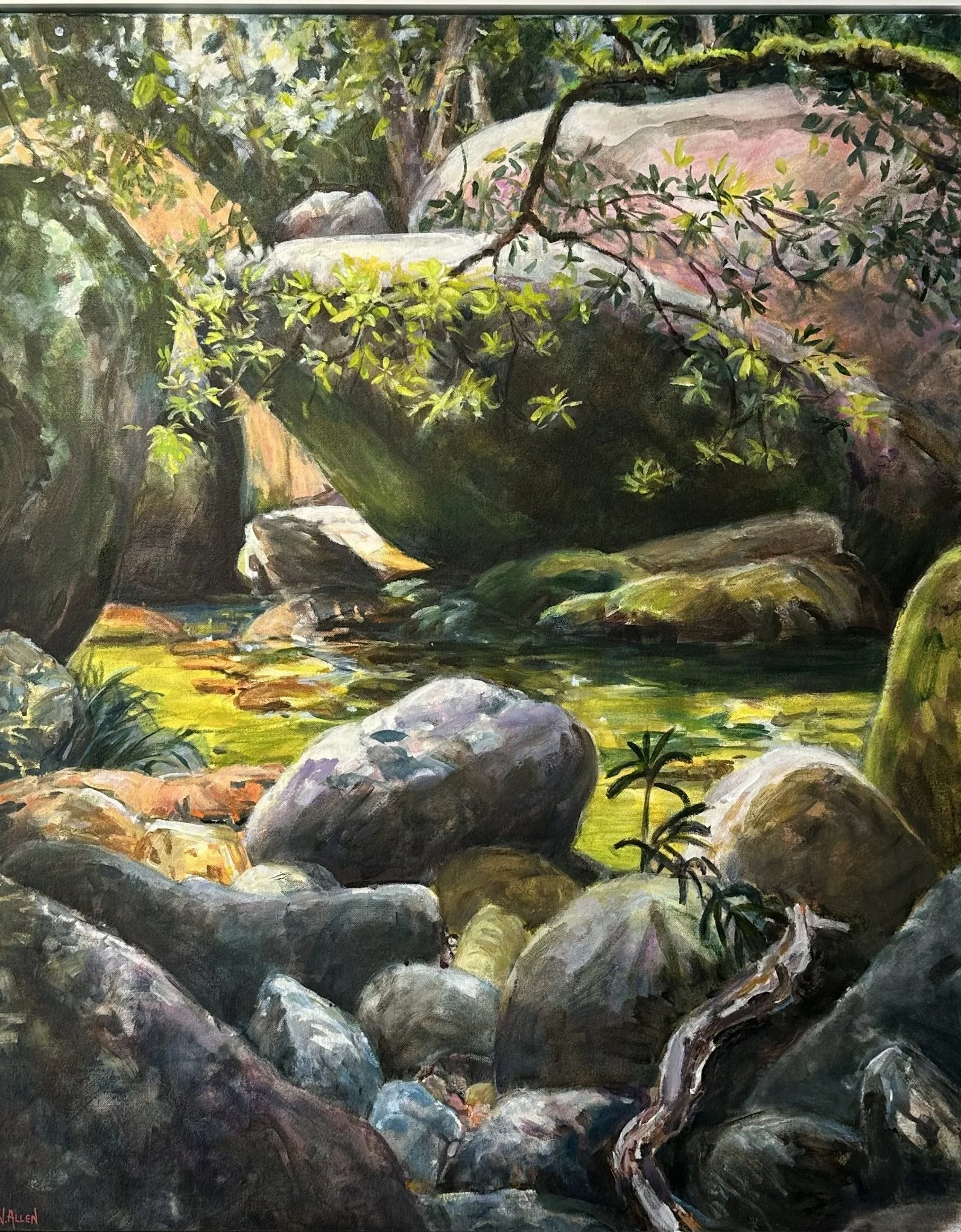 Mossman Gorge  Gentle Flow.jpg