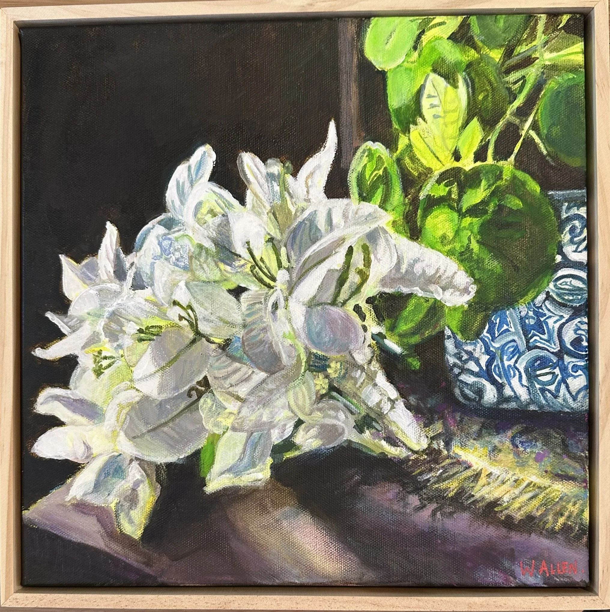 Bouganvilla Still Life.jpg