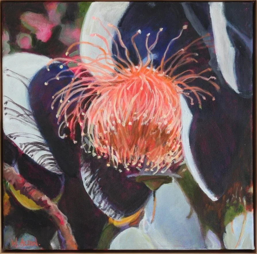 Flowering Gum Study 1.jpg