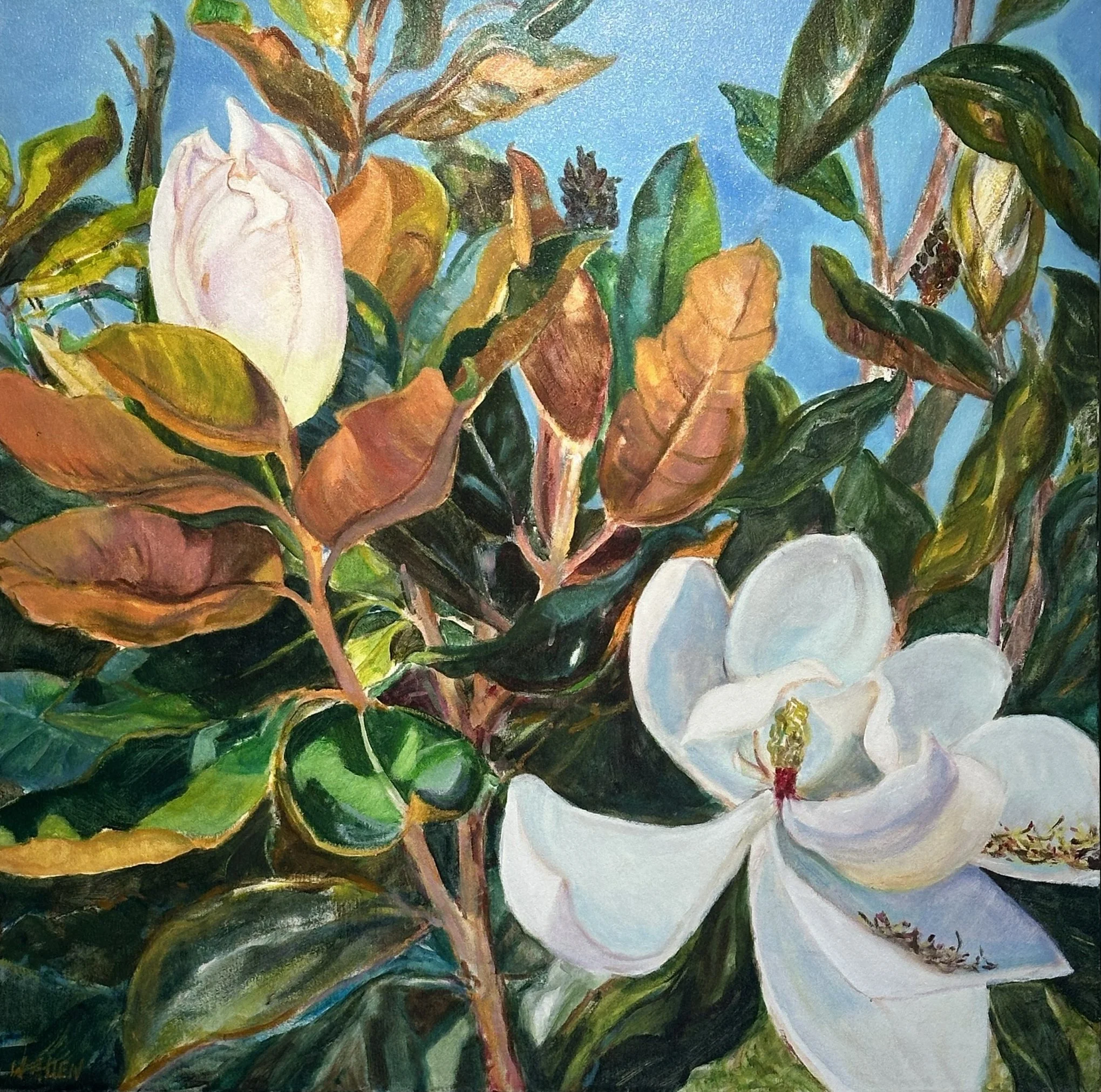 Magnolia in Bloom.jpg