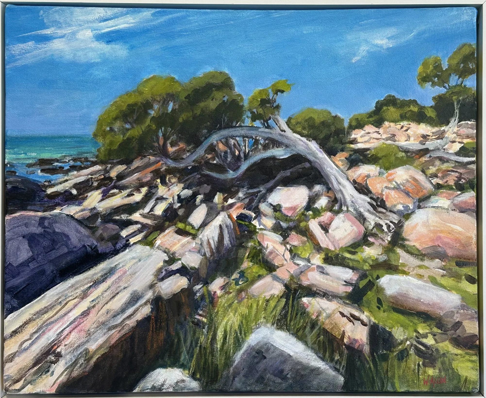 Western Australia Coast.jpg