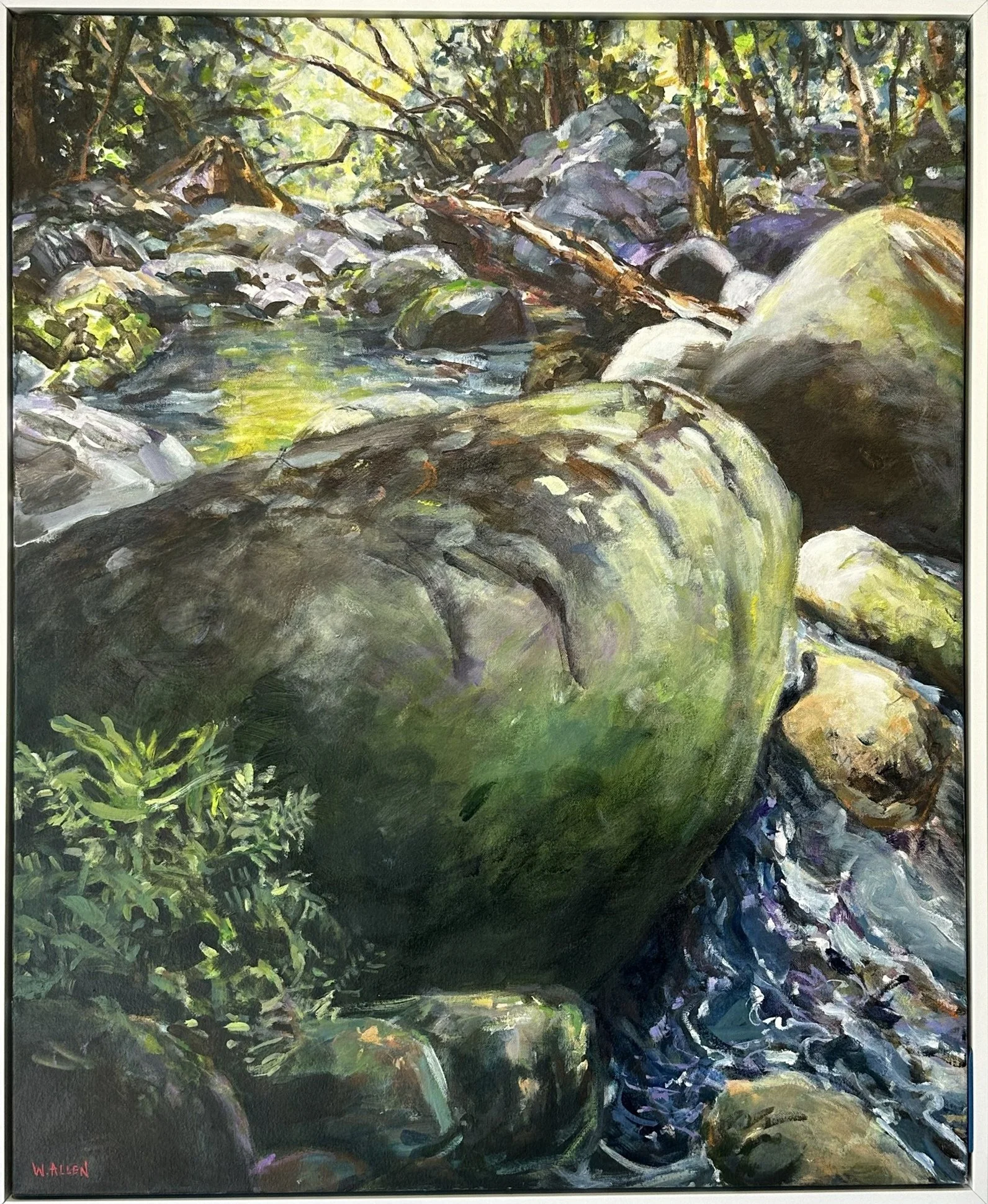 Mossman Gorge Shadows.jpg