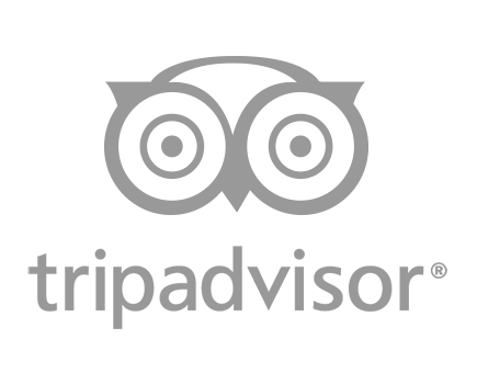 Trip Advisor Logo