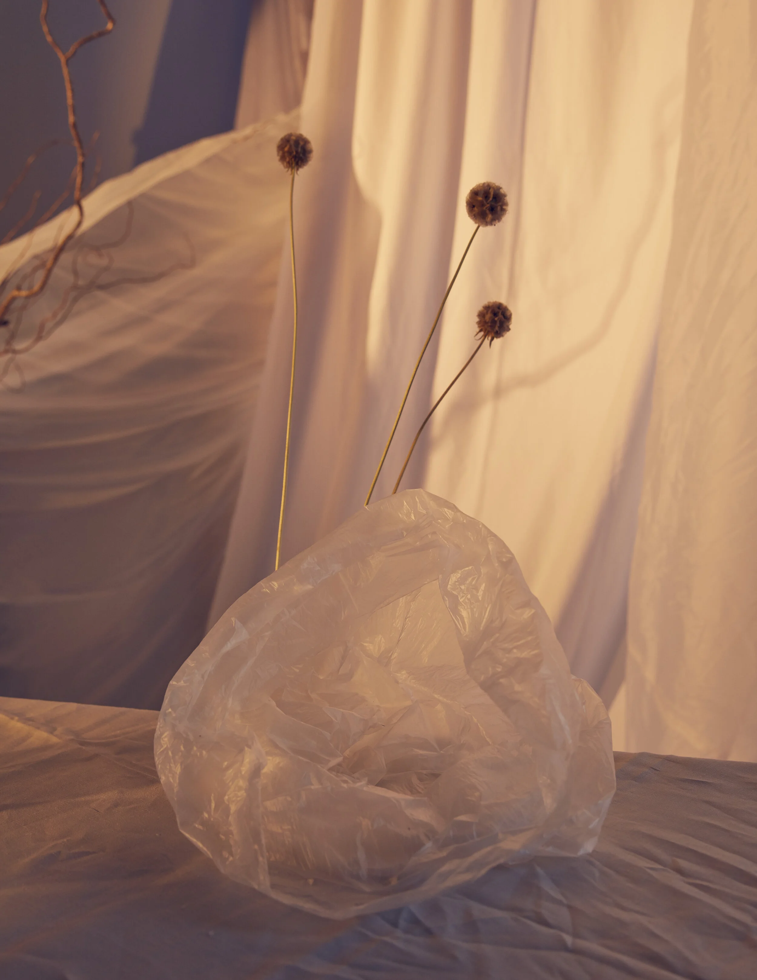 Still Life Set 3-093 1.jpg
