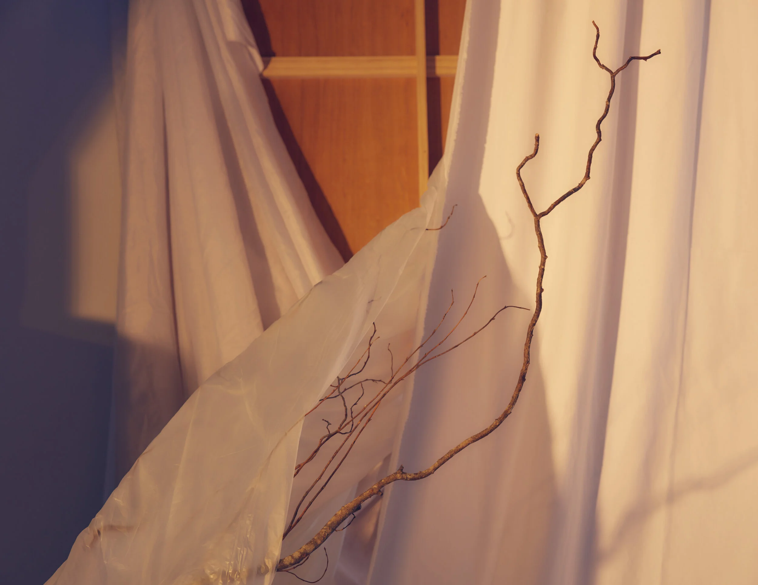 Still Life Set 3-083.jpg