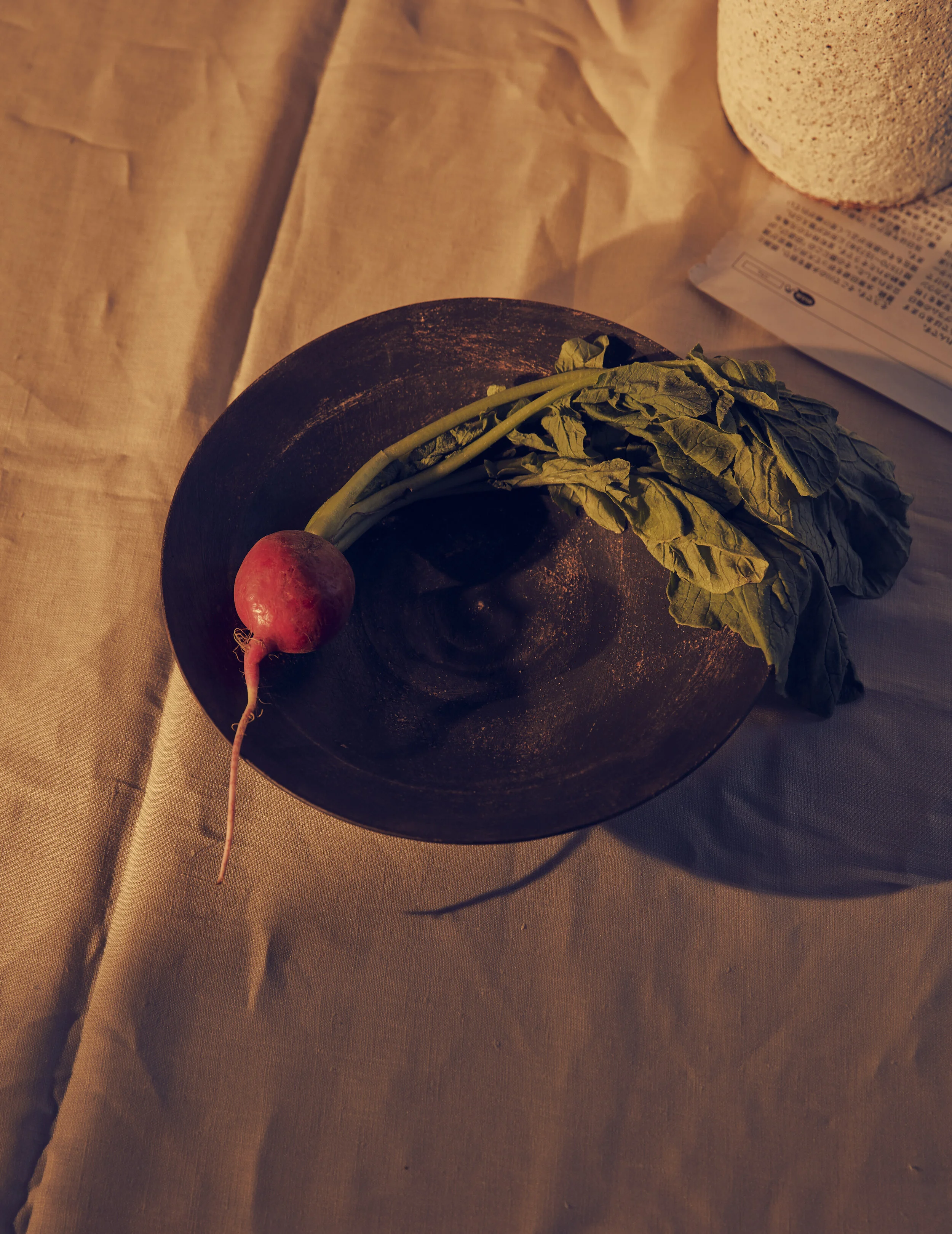 Still Life Set 2-010.jpg
