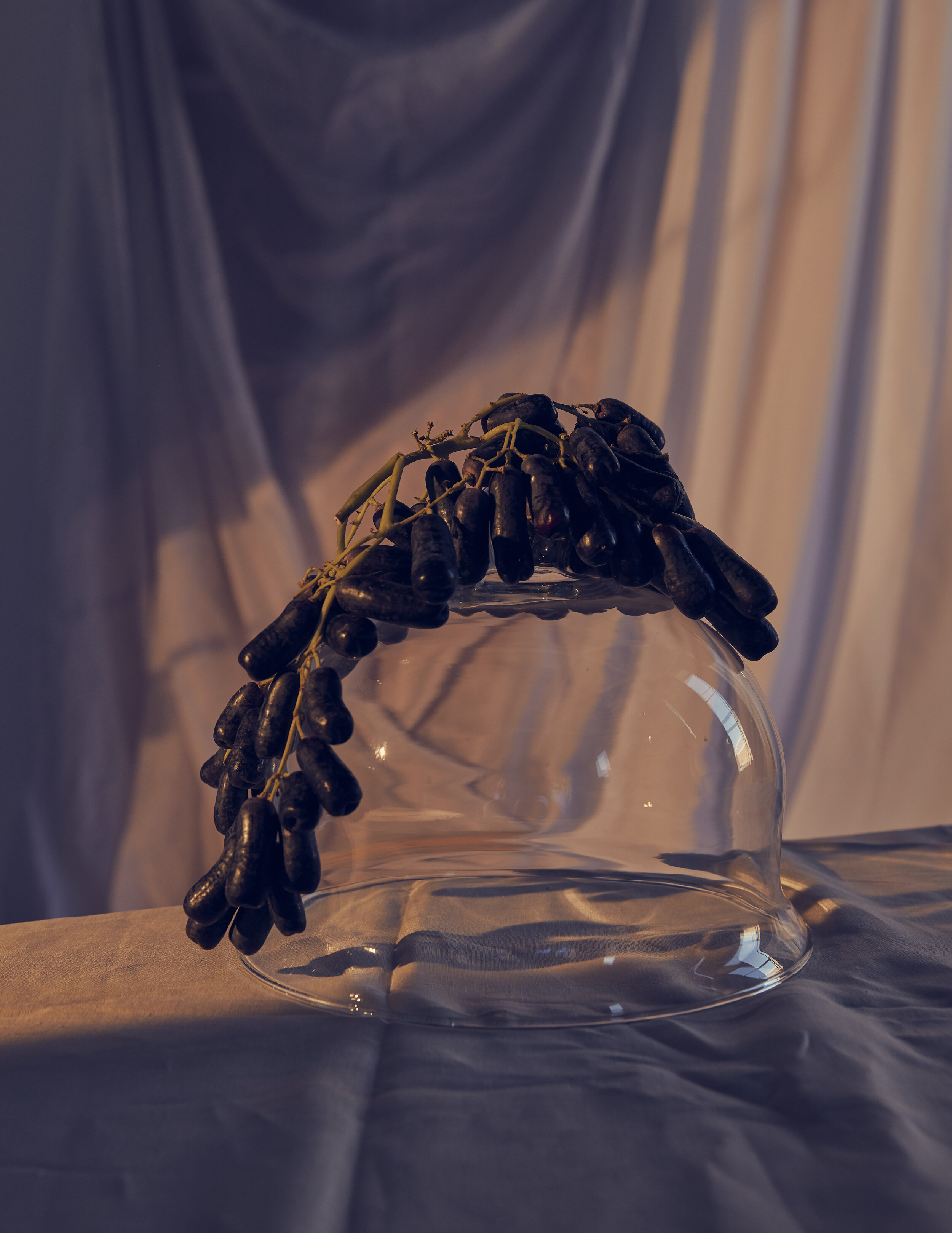 Still Life Set 2-031.jpg