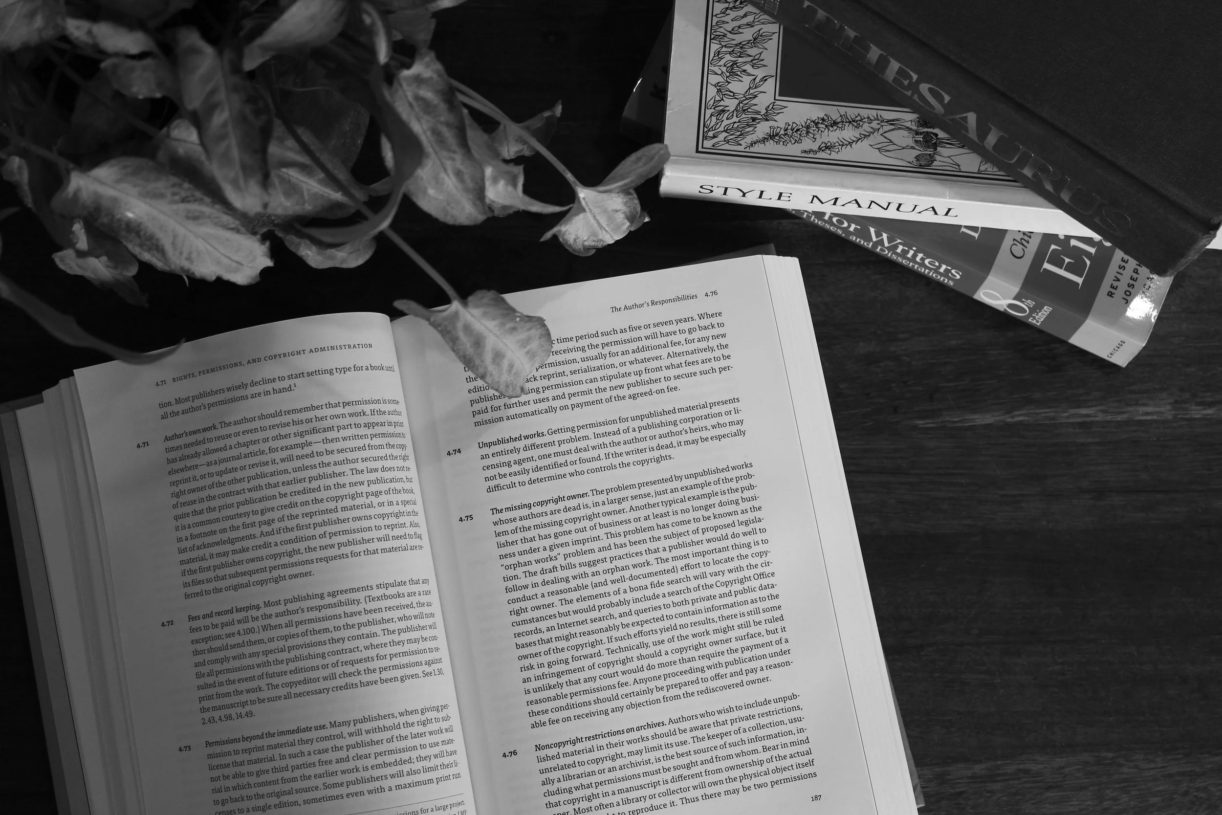 _MG_7678 copy.jpg