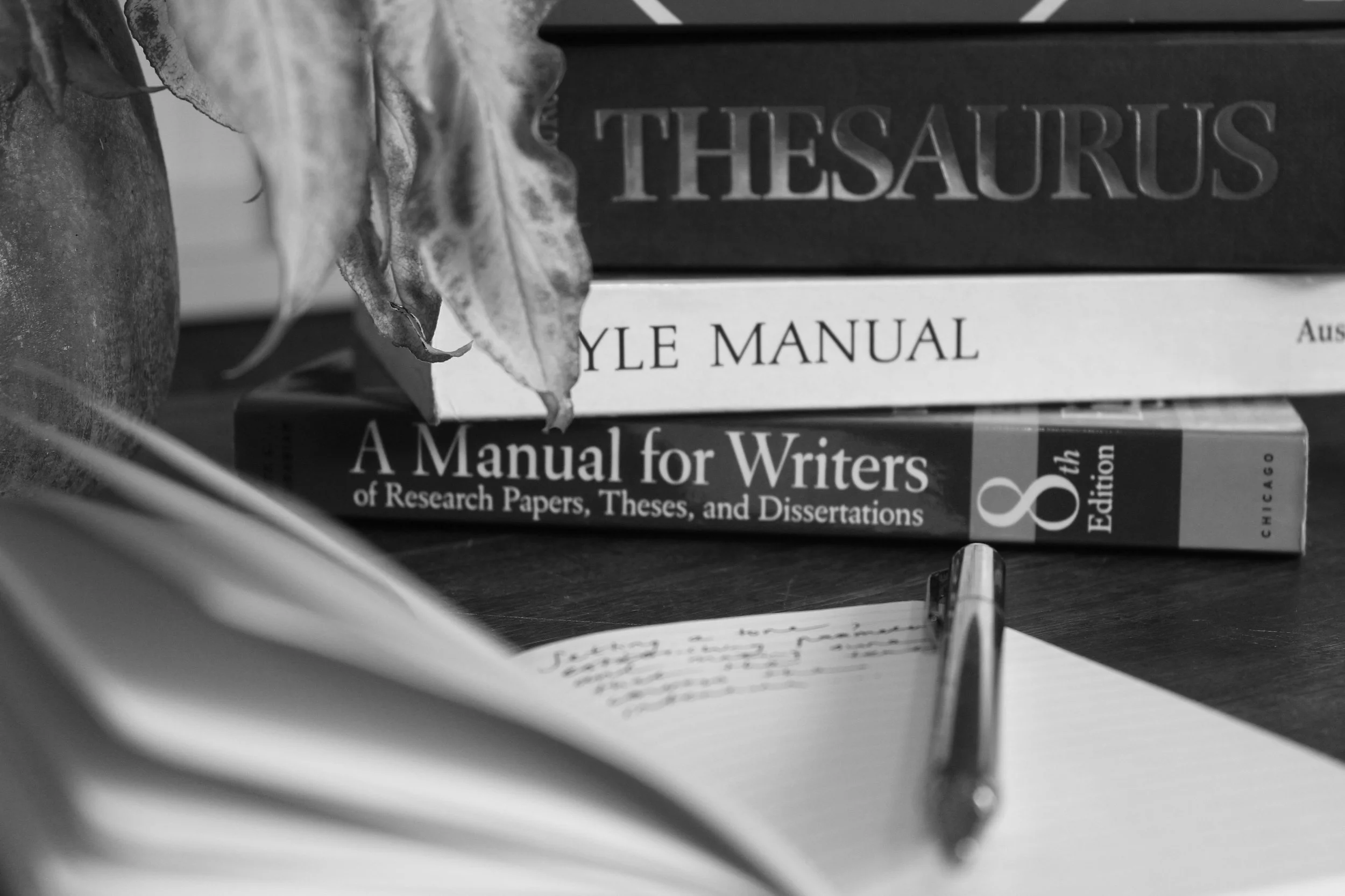 _MG_7717 copy_BW.jpg