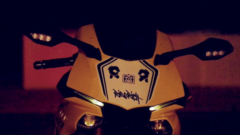 giphy (1).gif