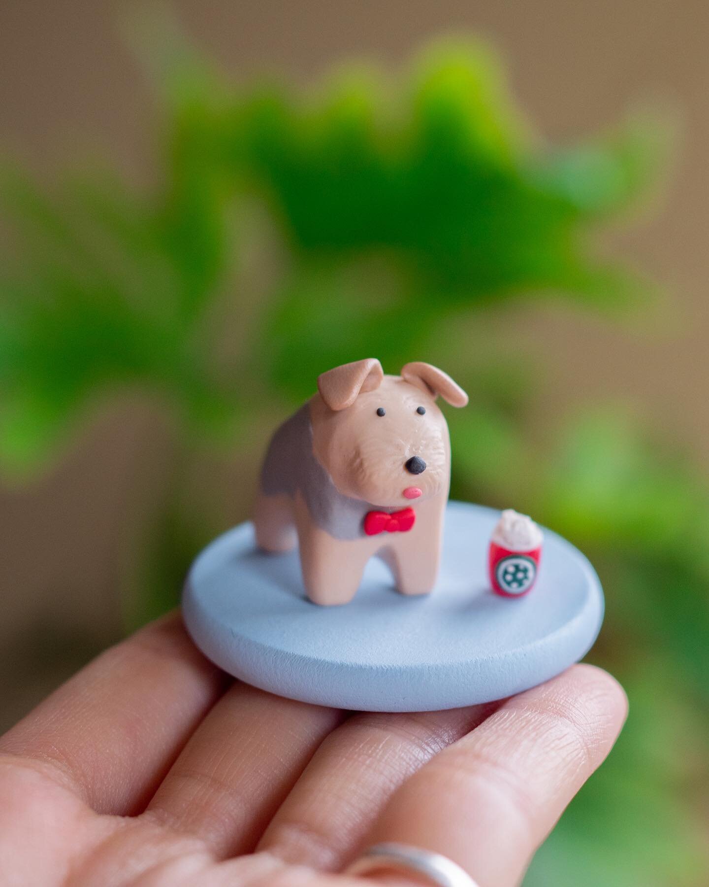 This order gave me a lot to think about💡

I have a specific clay sculpting style and do not replicate every single detail of a pet's features, except for the most prominent ones like coat color combinations.

But there was no way to make this mini l