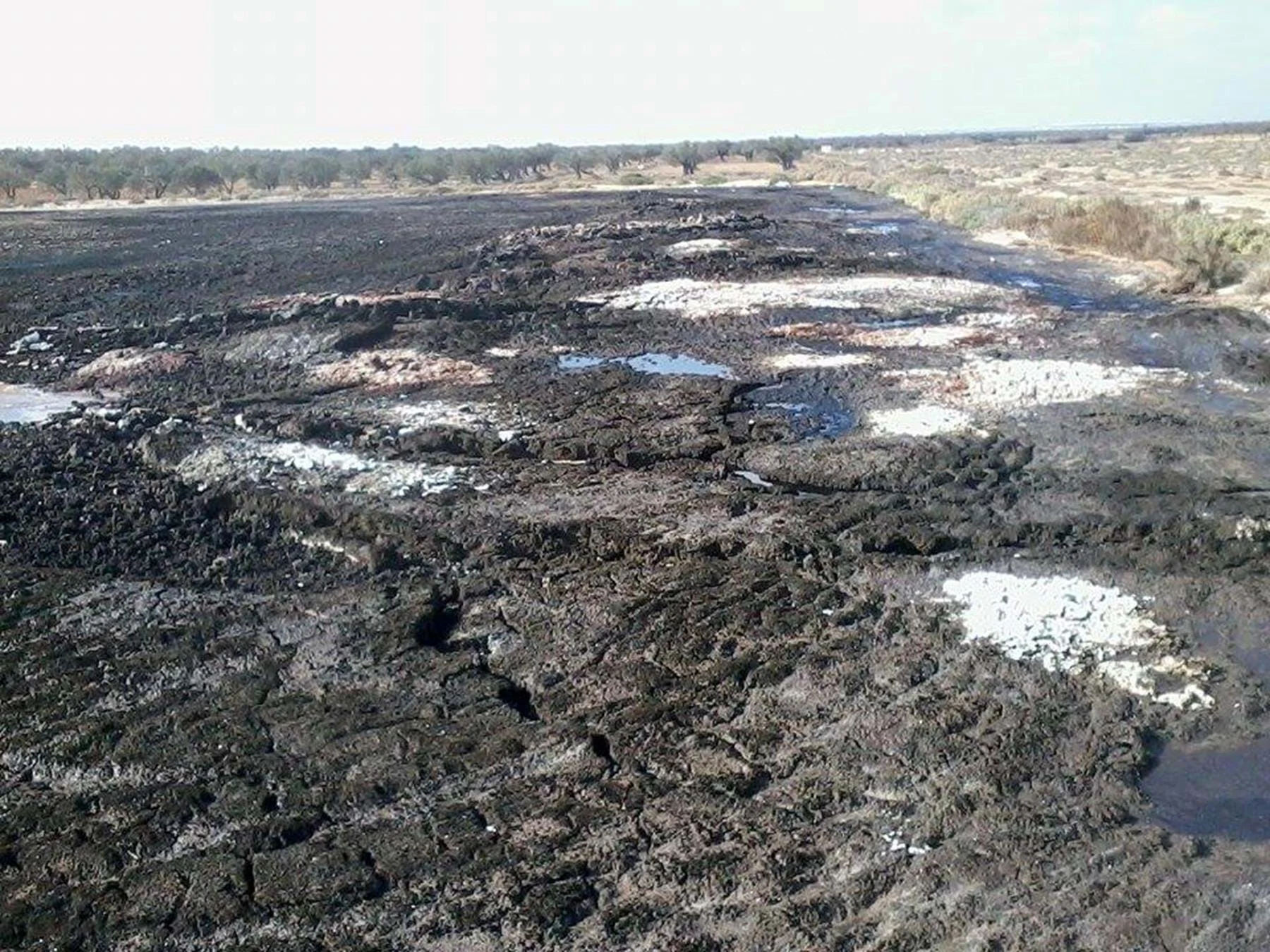 Soil pollution 2.jpg