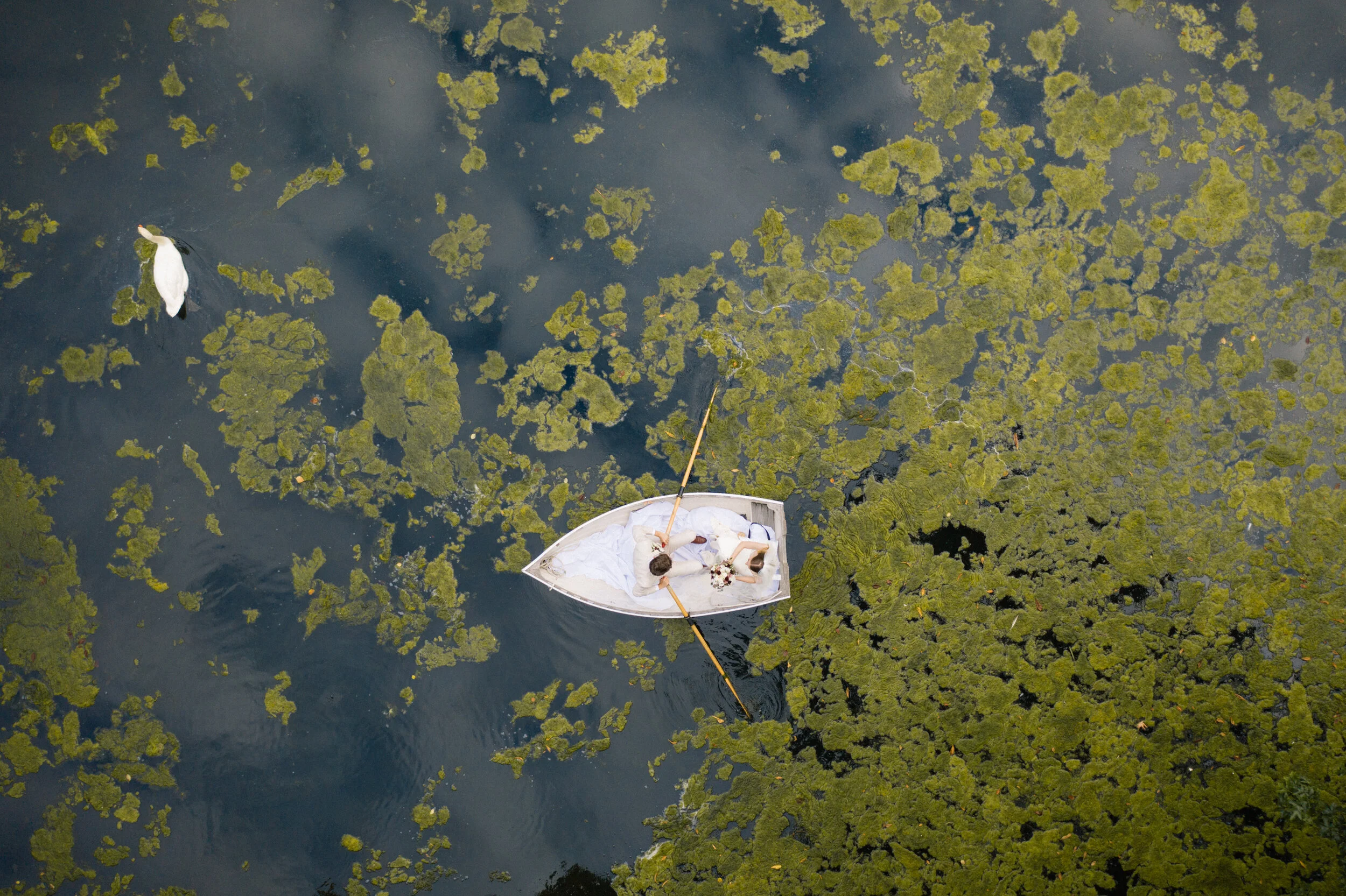 DJI_0974.jpg