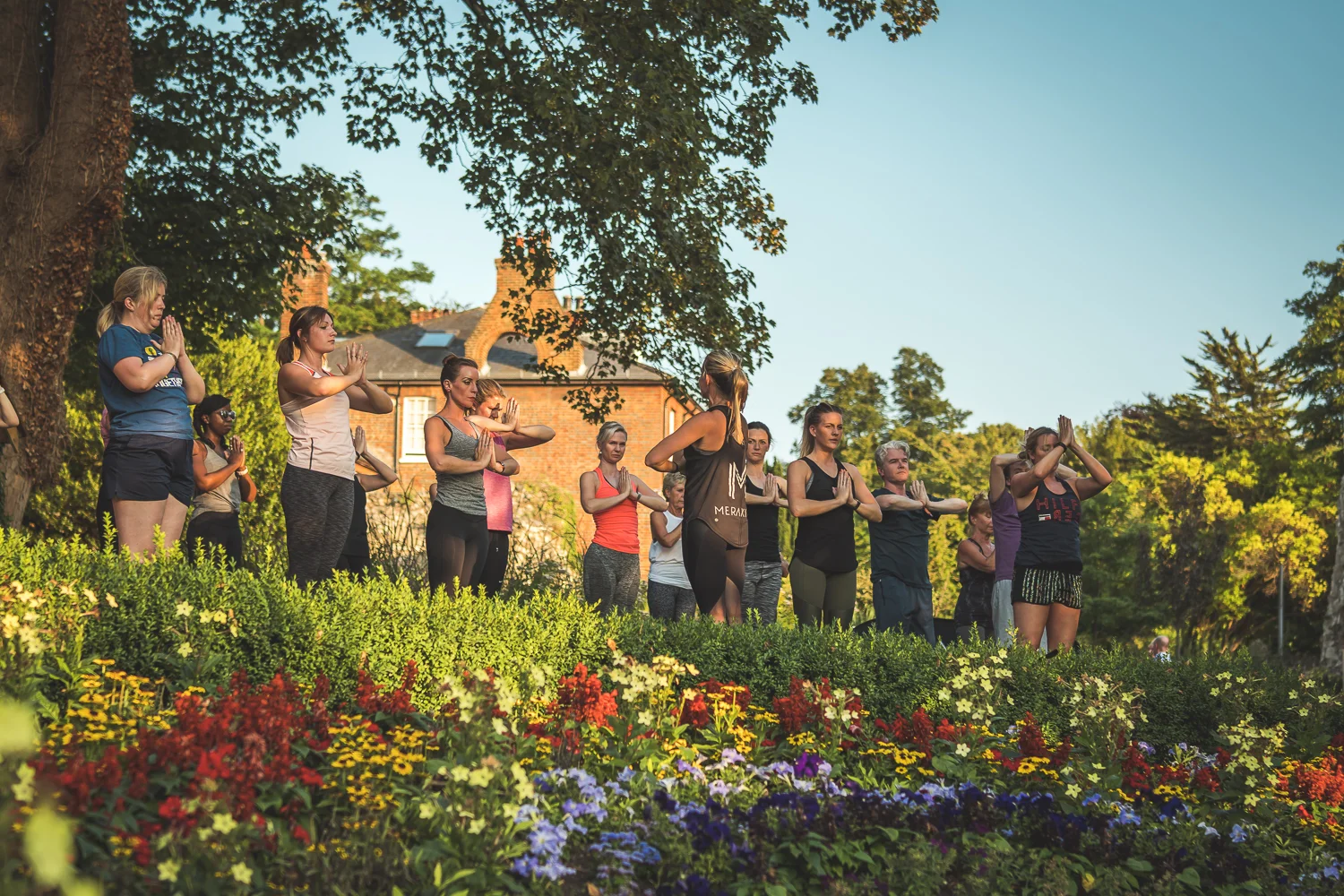 YOGA_SERVICE_1180725_Meraki_Vinyasa_Vino69.jpg