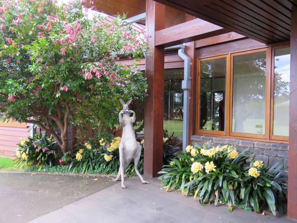 Skippie is always ready to welcome you to the lodge