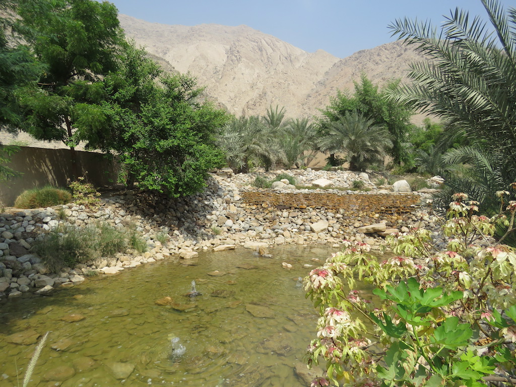 One of the wadis
