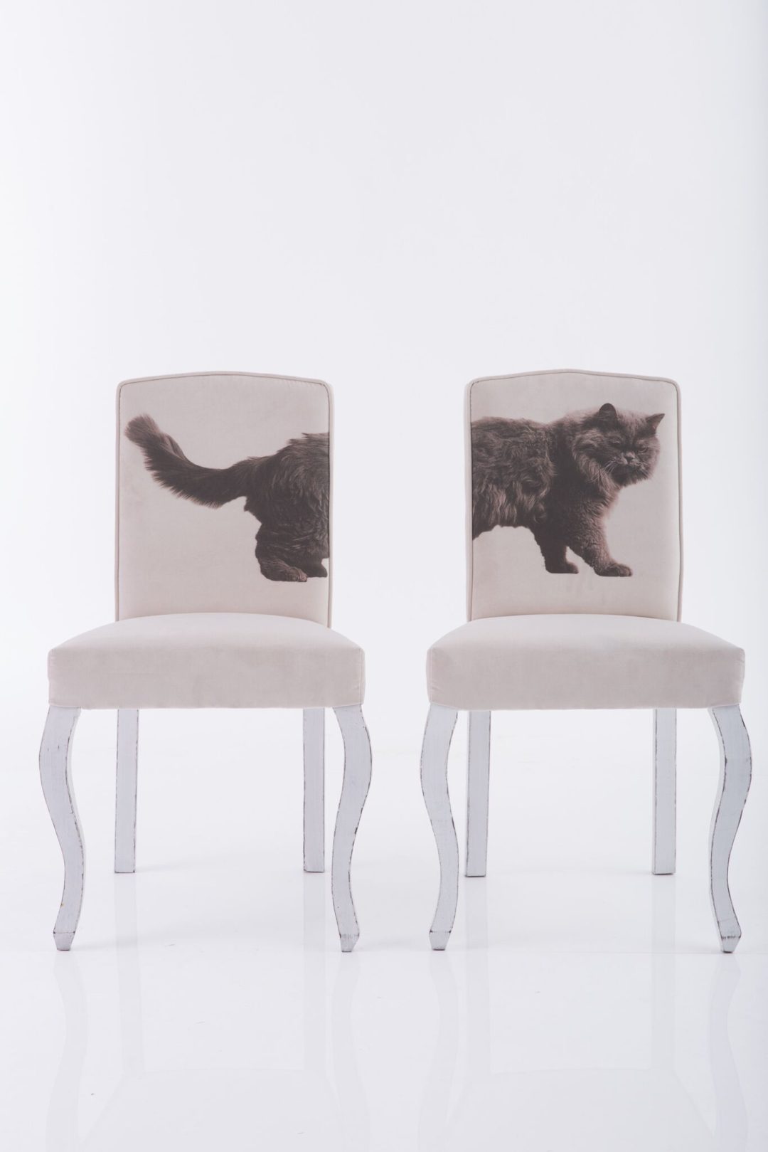 The cat diptych chairs I fell so madly in love with!