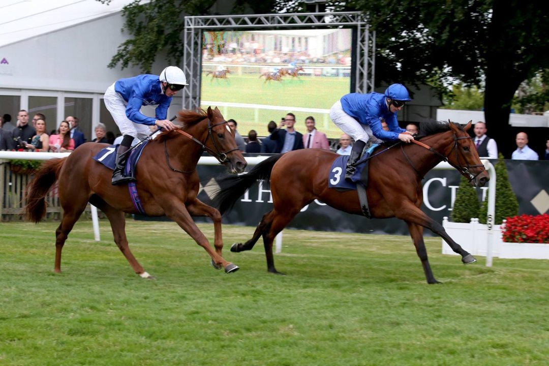 Attend a race at the famous Newmarket Racecourse (photo credit: Newmarket Racecourse)