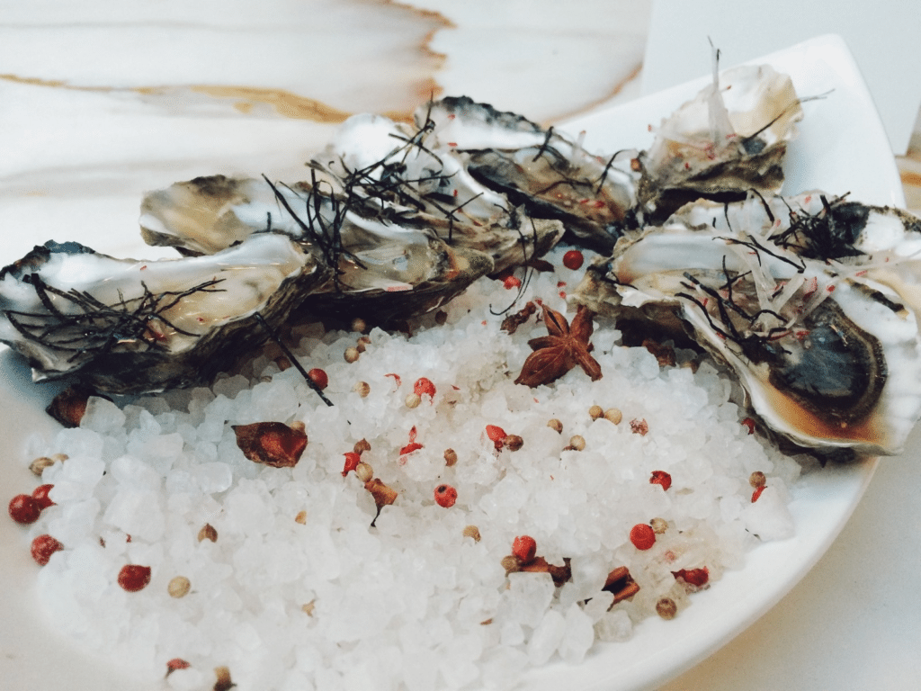 oysters-seafood-shells-ice-1024x768.png