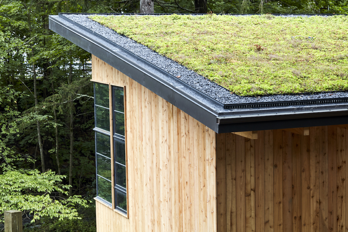 What a living roof system looks like  (photo supplied)
