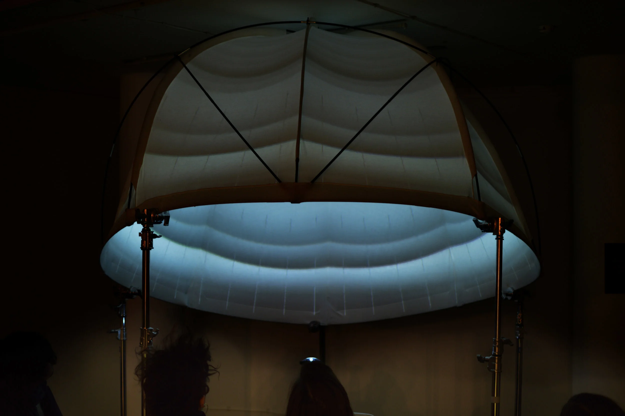 DSC_0288 copy.jpg