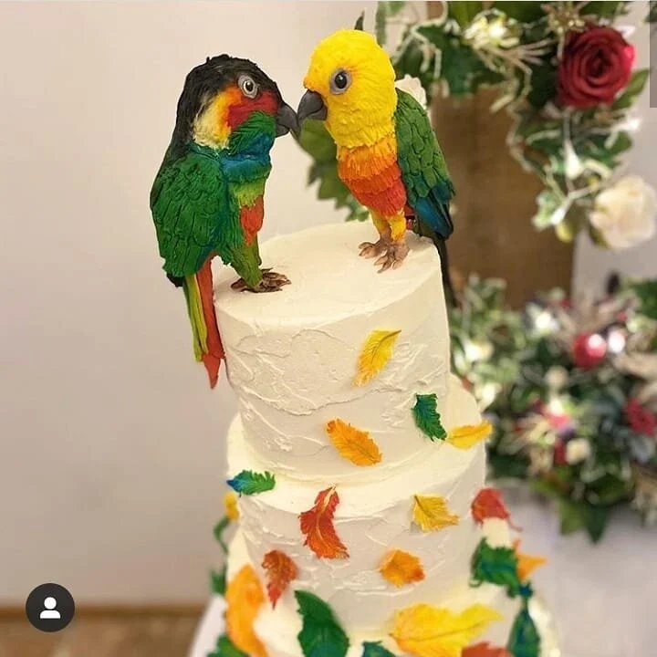 birds.jpg