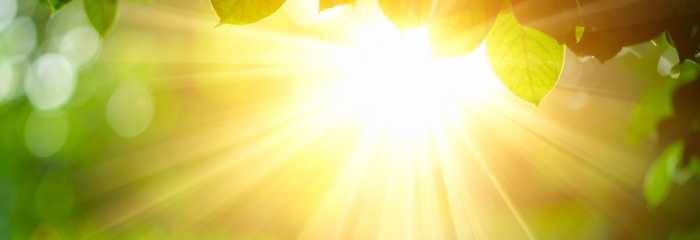 Sunlight: The Missing Link in Energy, Metabolism and Mitochondrial Health?