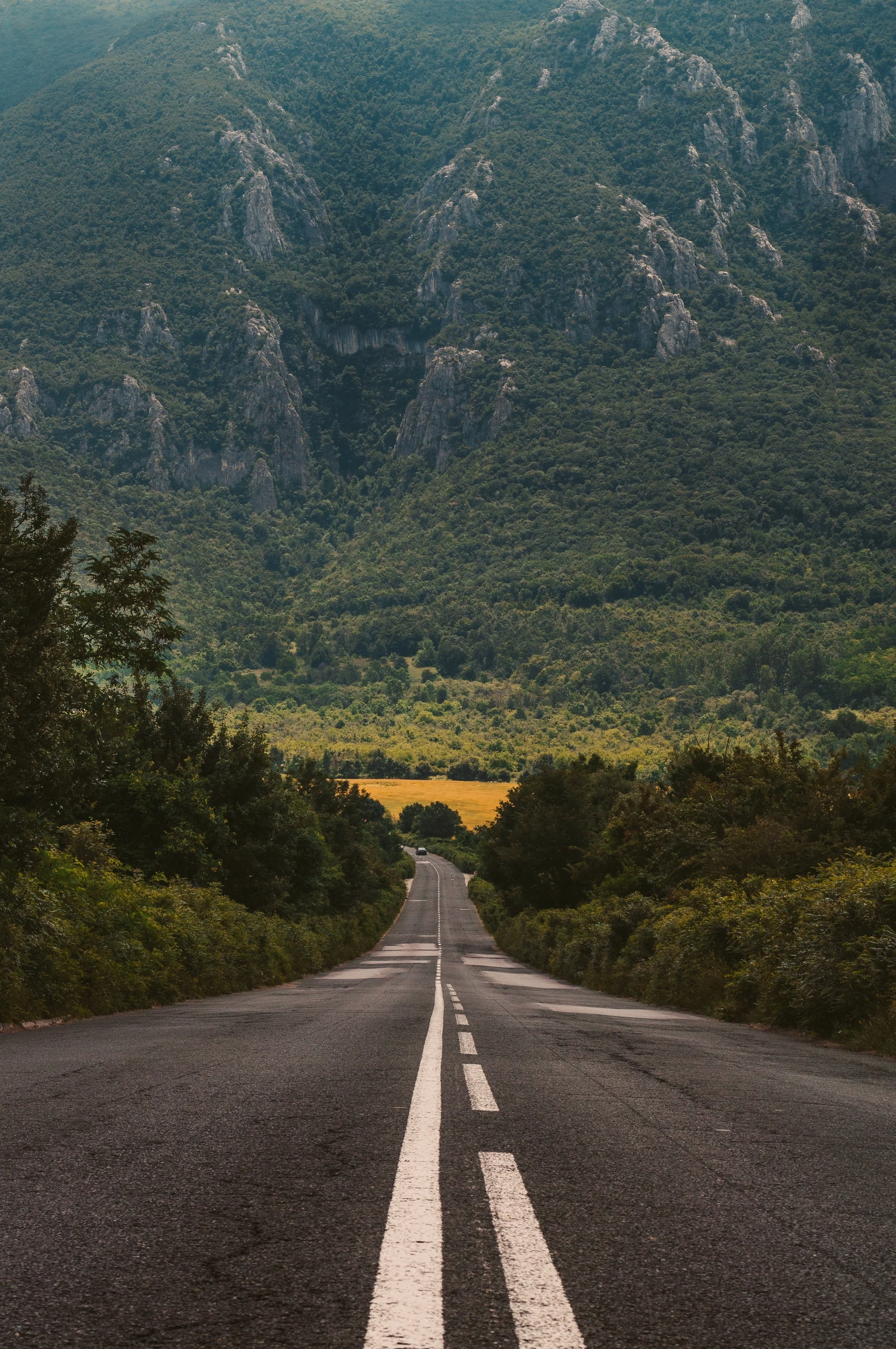 evgeni-evgeniev-710160-unsplash.jpg