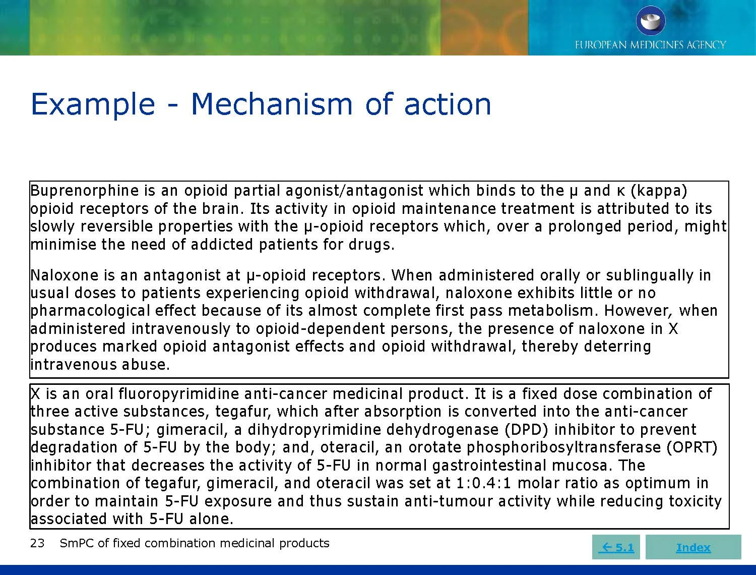 SmPC Training for EMA - June 2019_Page_24.jpg